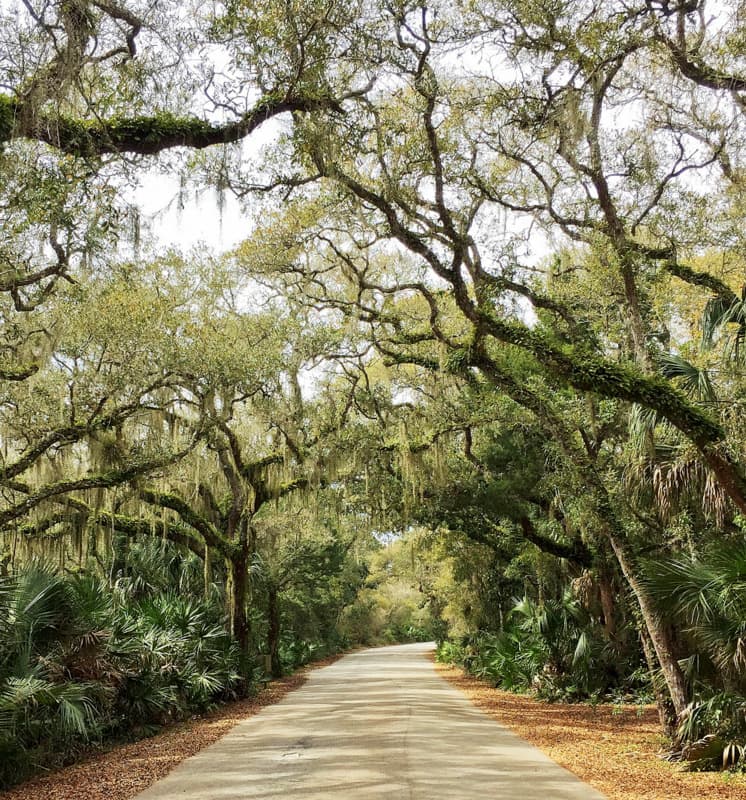 Anastasia State Park, St. Augustine, FL