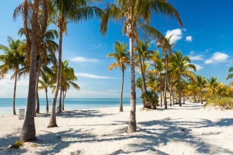 Crandon Park, Key Biscayne, FL