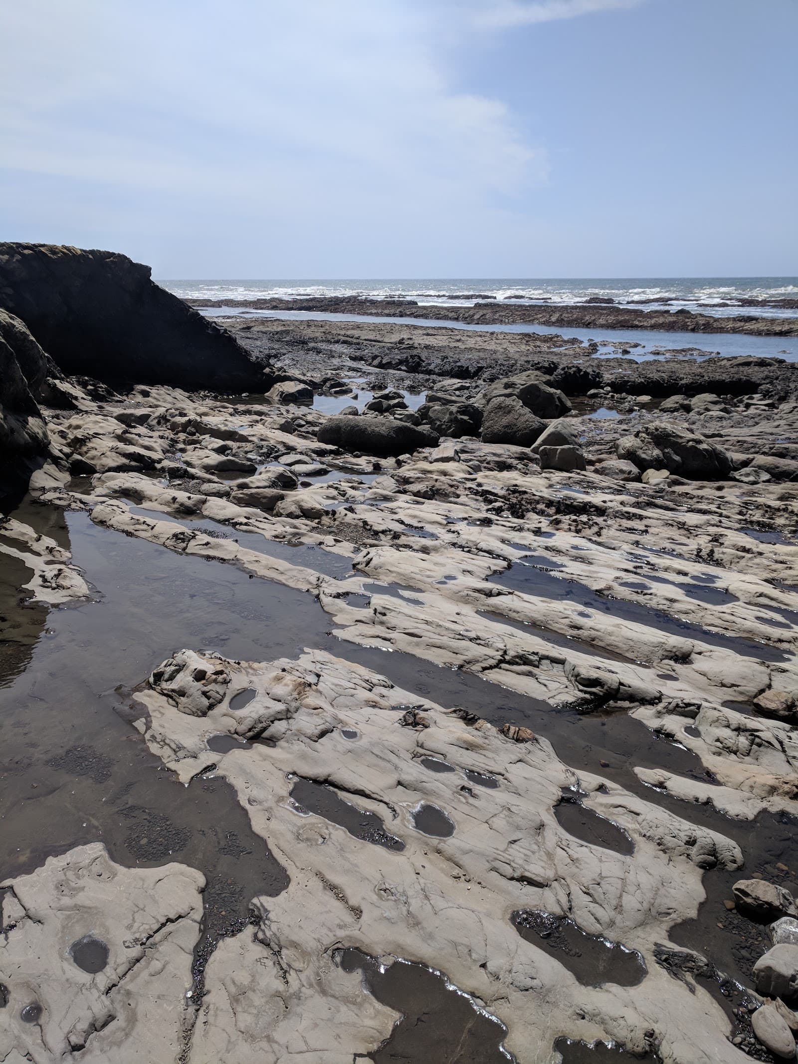 Duxbury Reef, Bolinas, CA