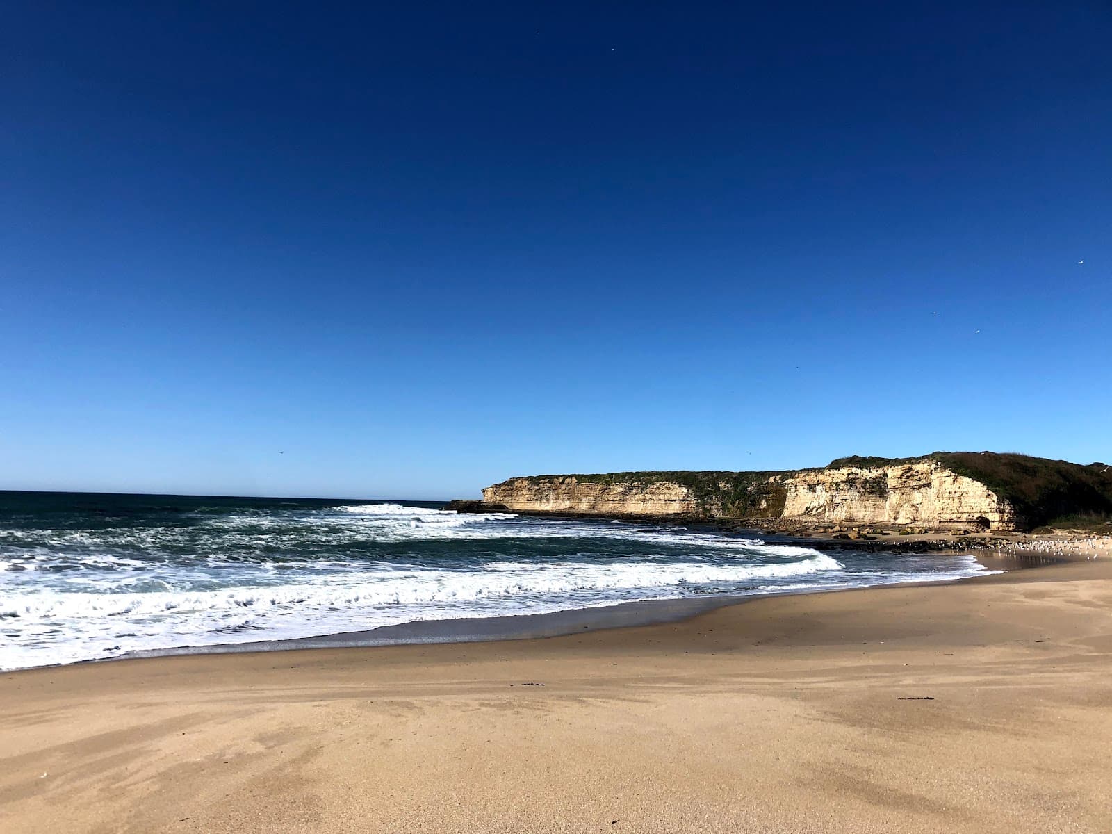 Four Mile Beach, Santa Cruz, CA