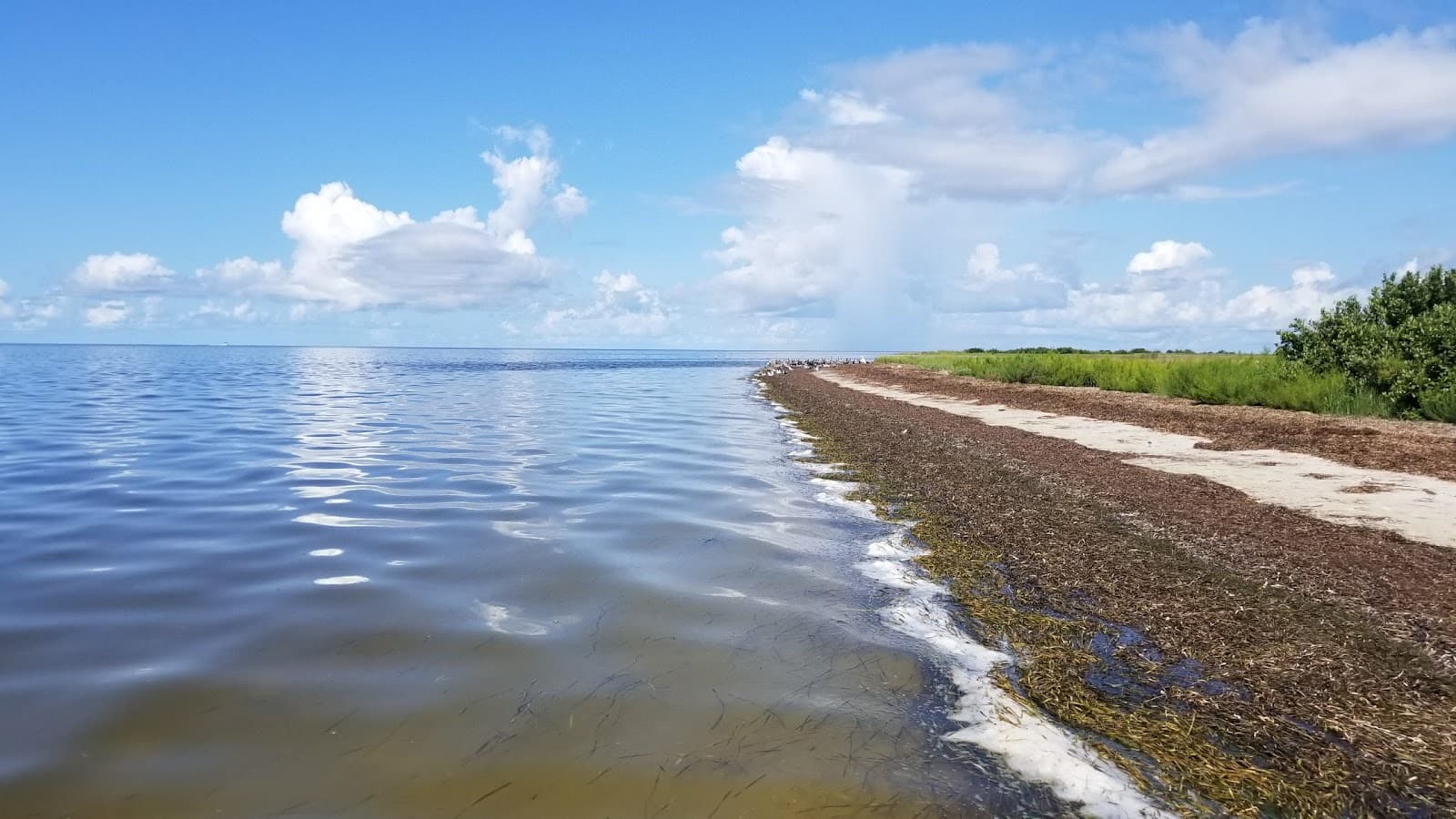 Horseshoe Beach, Horseshoe Beach, FL