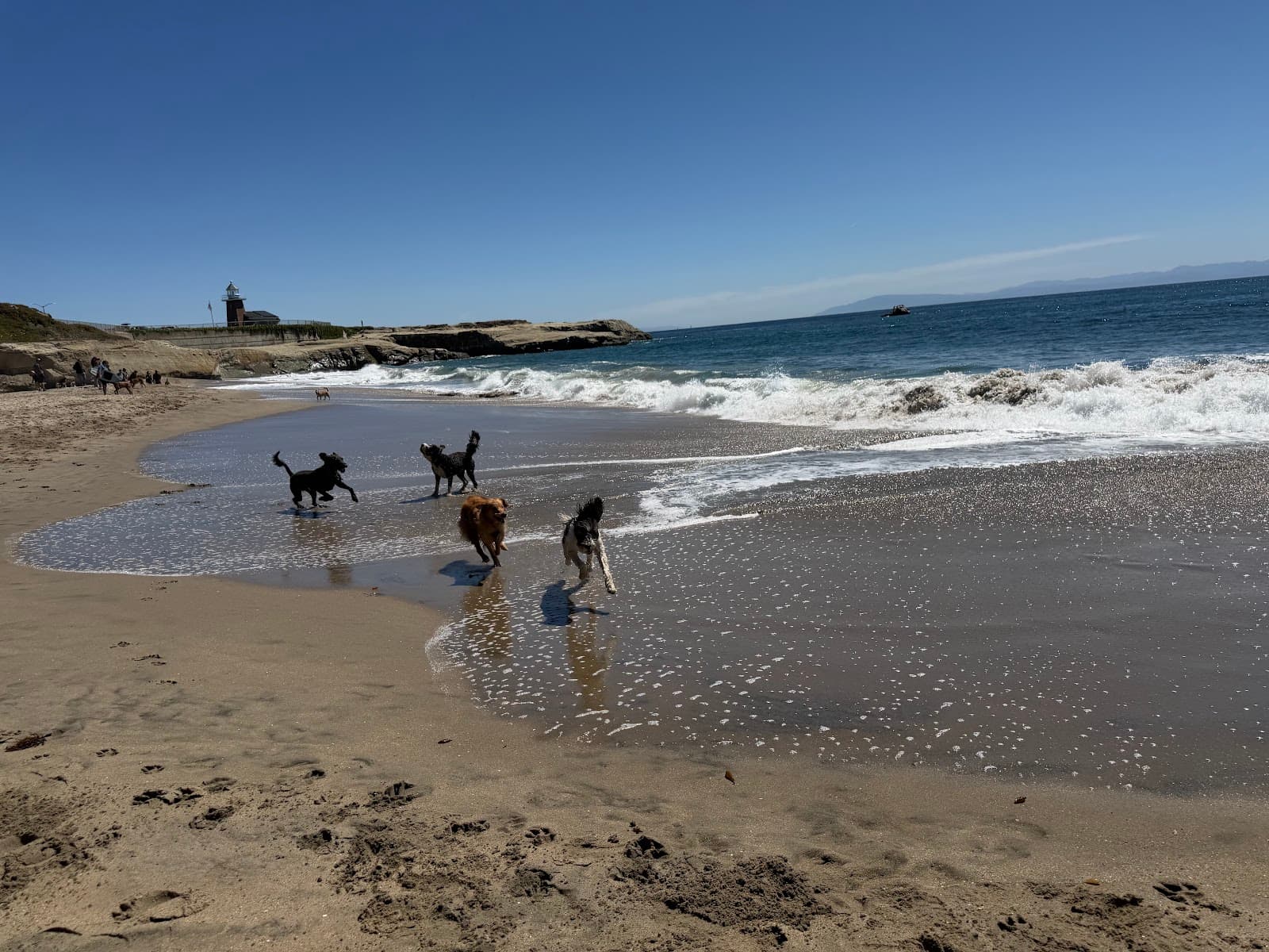 Its Beach, Santa Cruz, CA