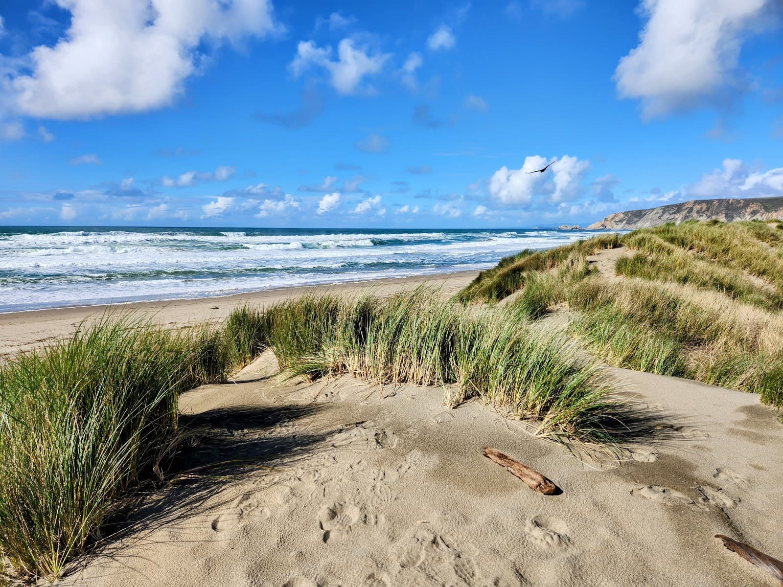 Kehoe Beach, Inverness, CA