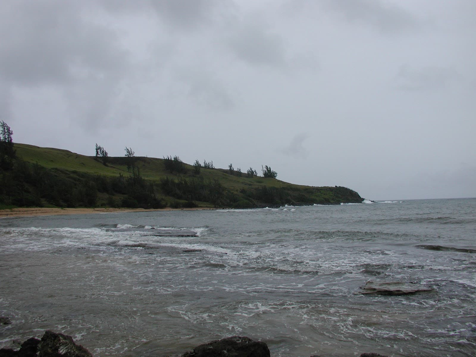 Kiowea Beach Park (Kapuaiwa Coconut Grove), Kaunakakai, HI