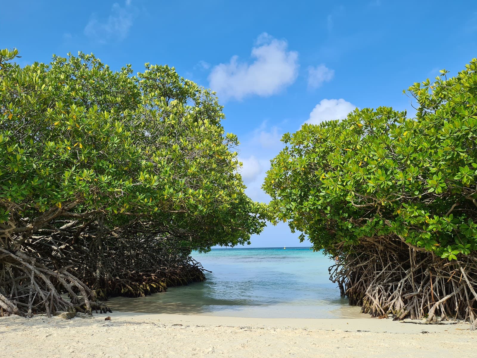 Mangel Halto, Savaneta, Aruba