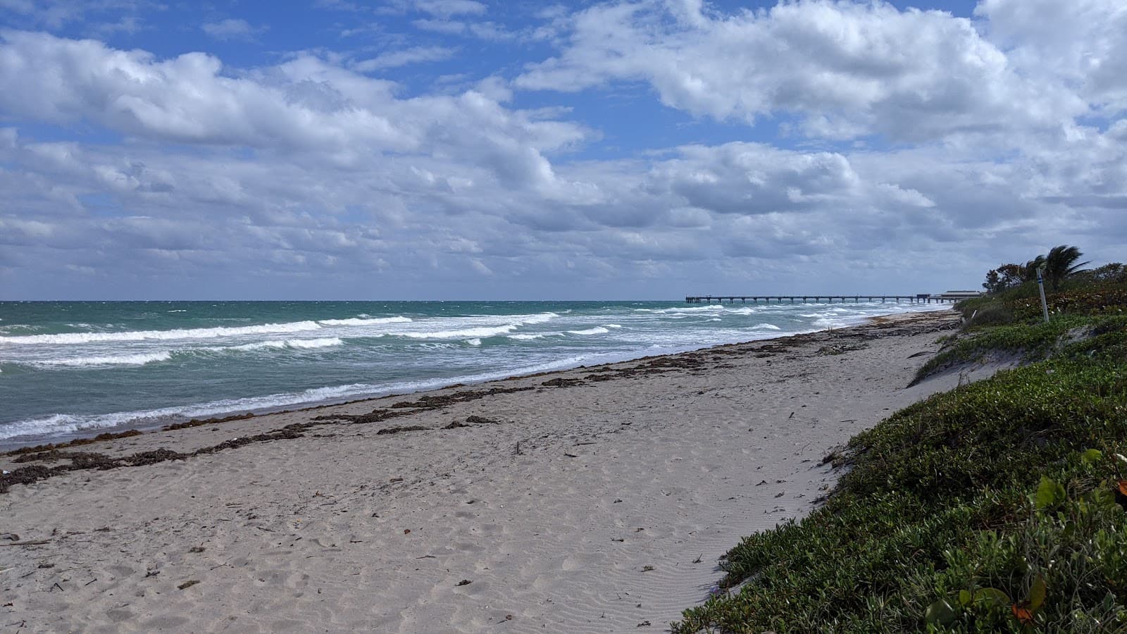 Dr. Von D. Mizell-Eula Johnson State Park, Dania Beach, FL