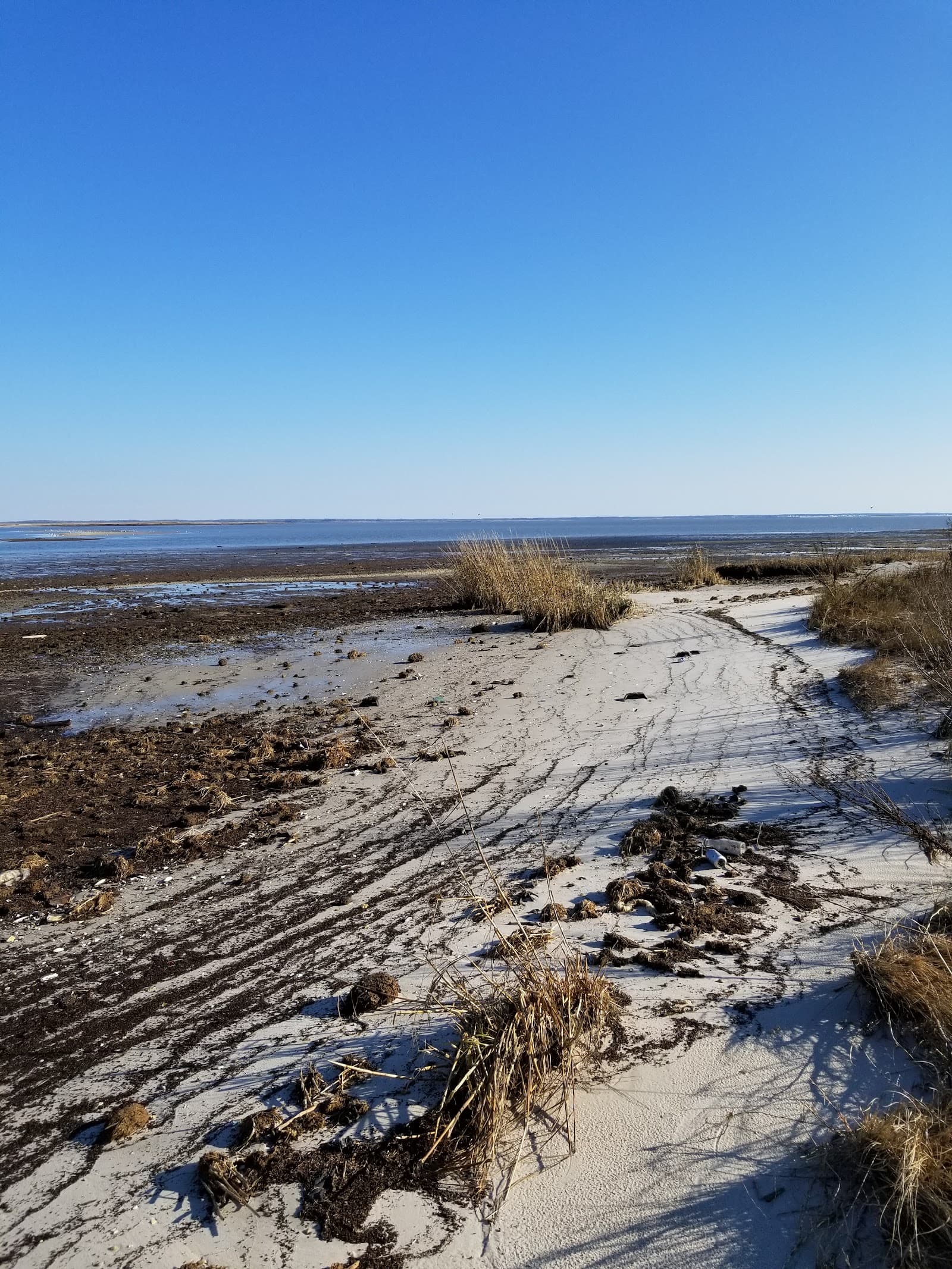 Moore's Beach, Maurice River Township, NJ