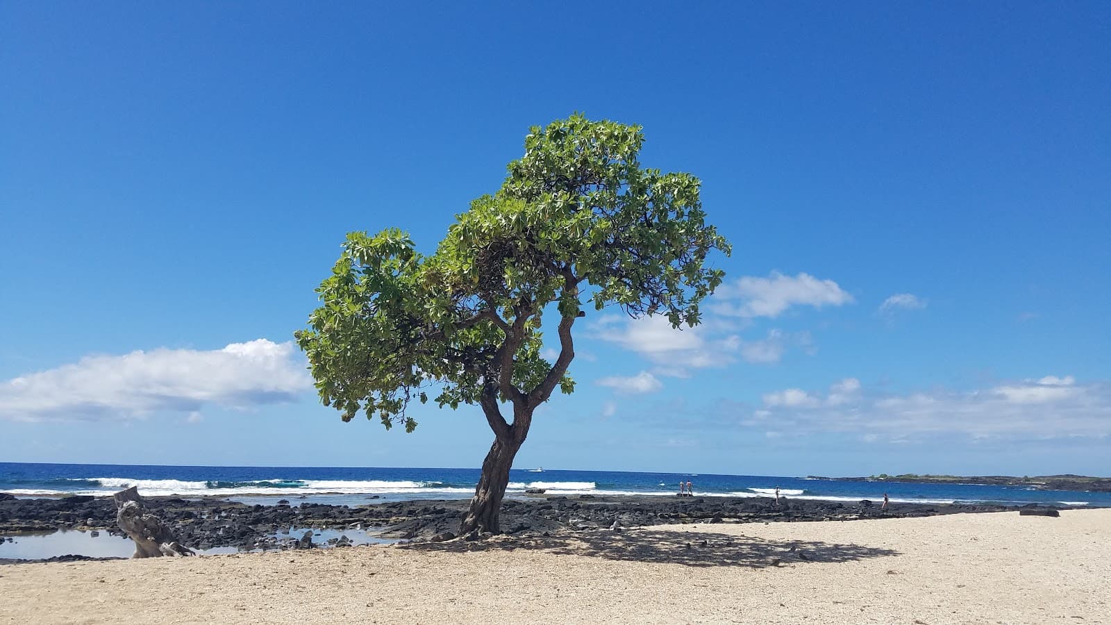 Old Kona Airport State Recreation Area, Kailua-Kona, HI