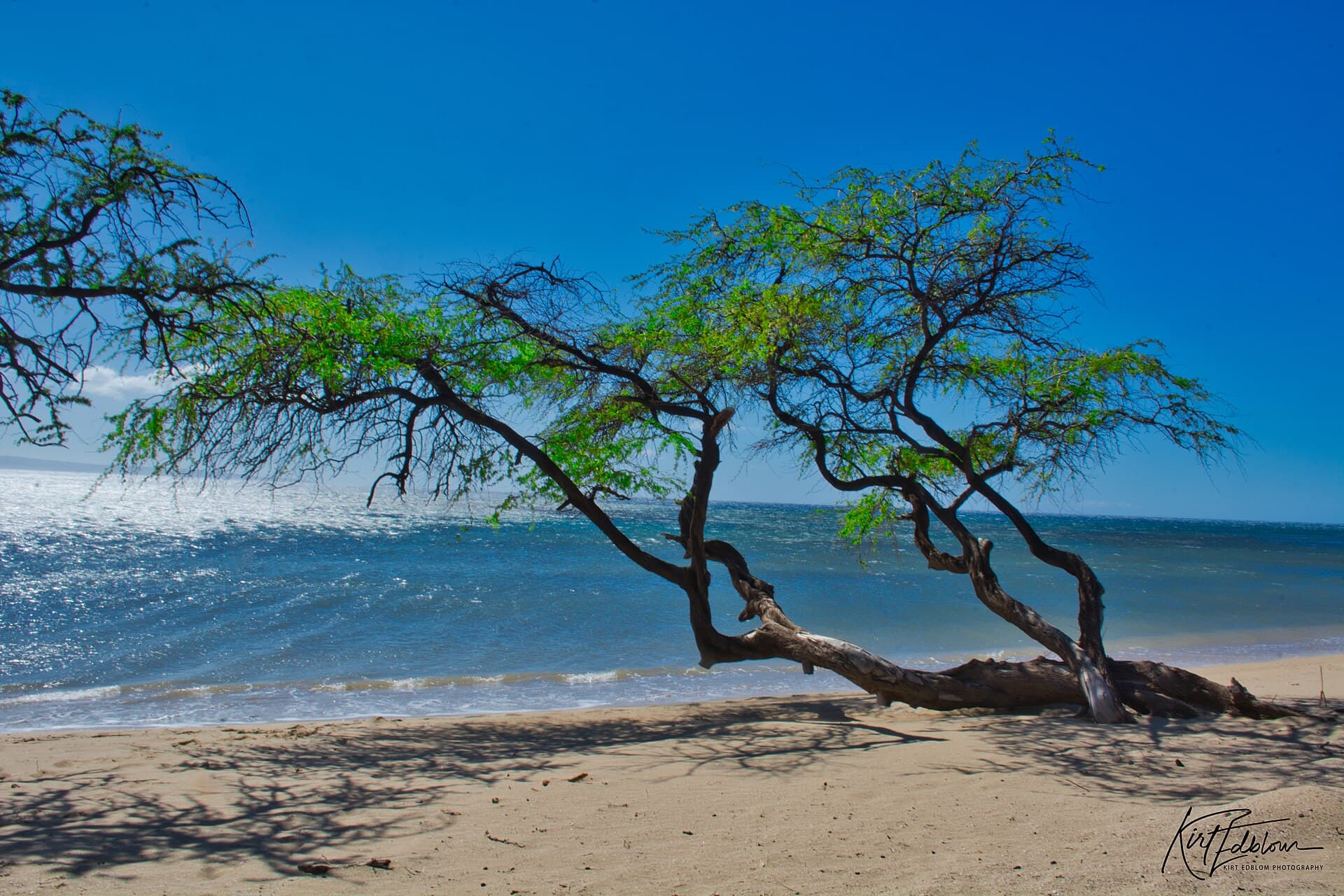 Papalaua Wayside Park, Olowalu, HI