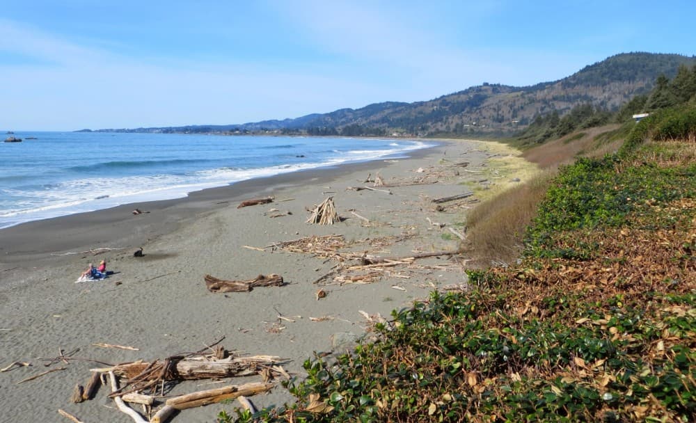 Pelican State Beach, Smith River, CA