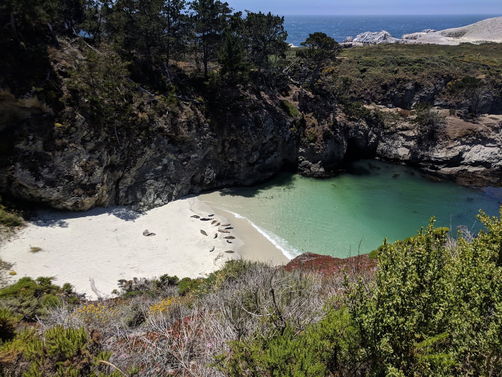 Point Lobos State Natural Reserve, Carmel, CA