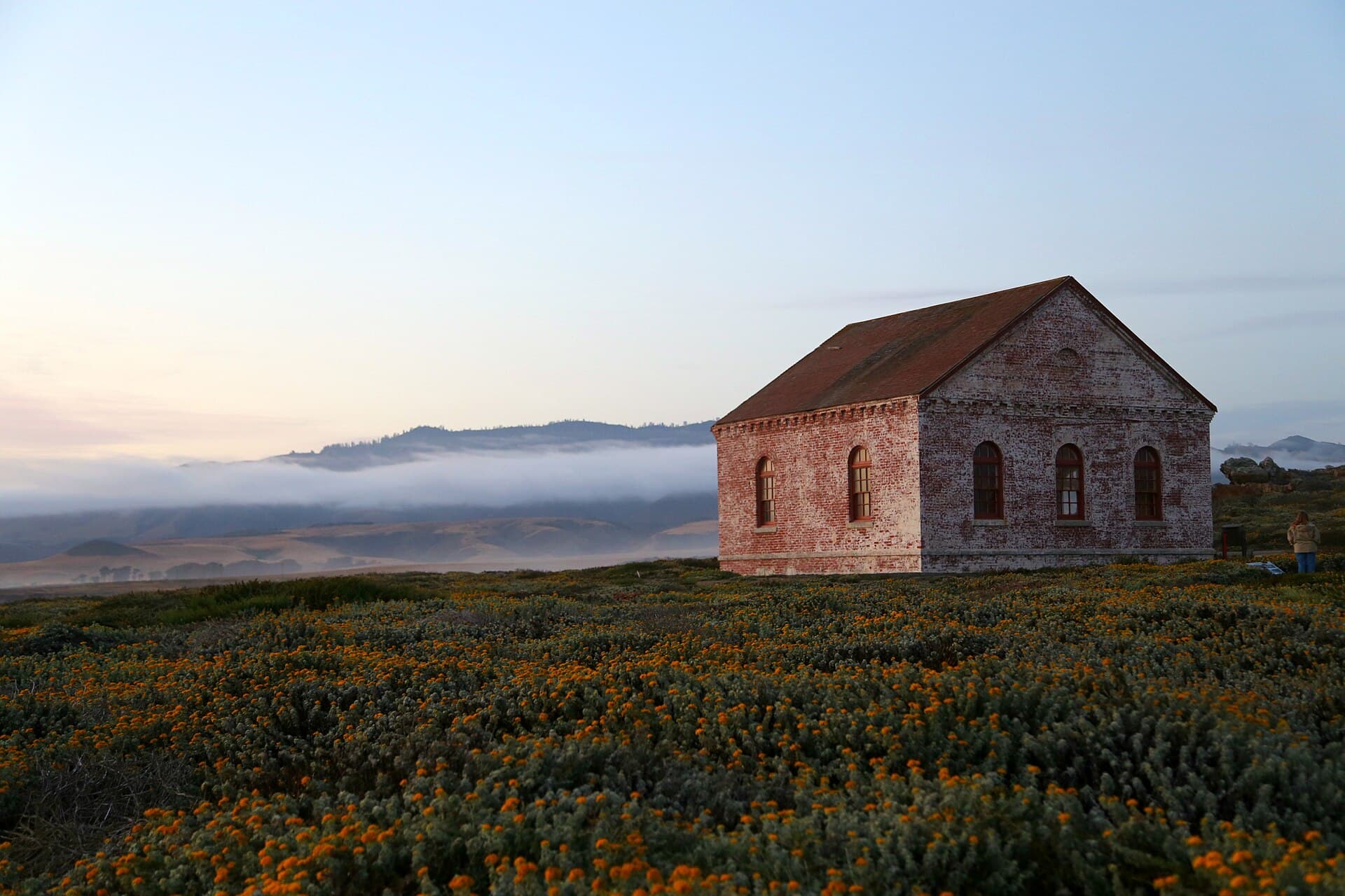 Point Piedras Blancas, San Simeon, CA