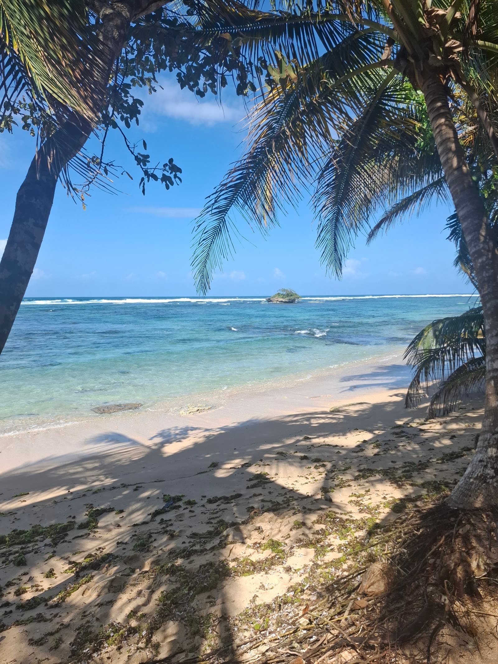 Polo Beach, Isla Bastimentos, Bocas del Toro
