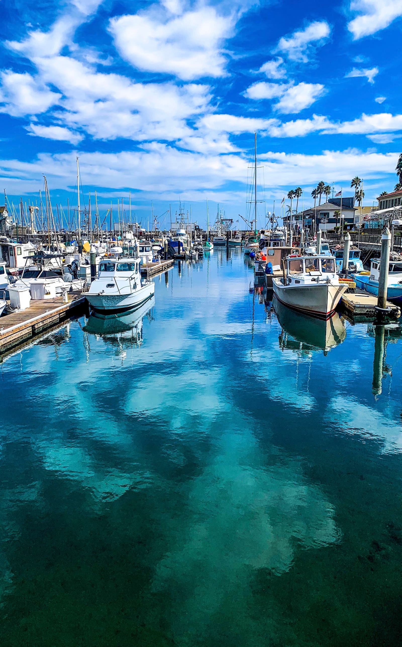 Santa Barbara Harbor, Santa Barbara, CA