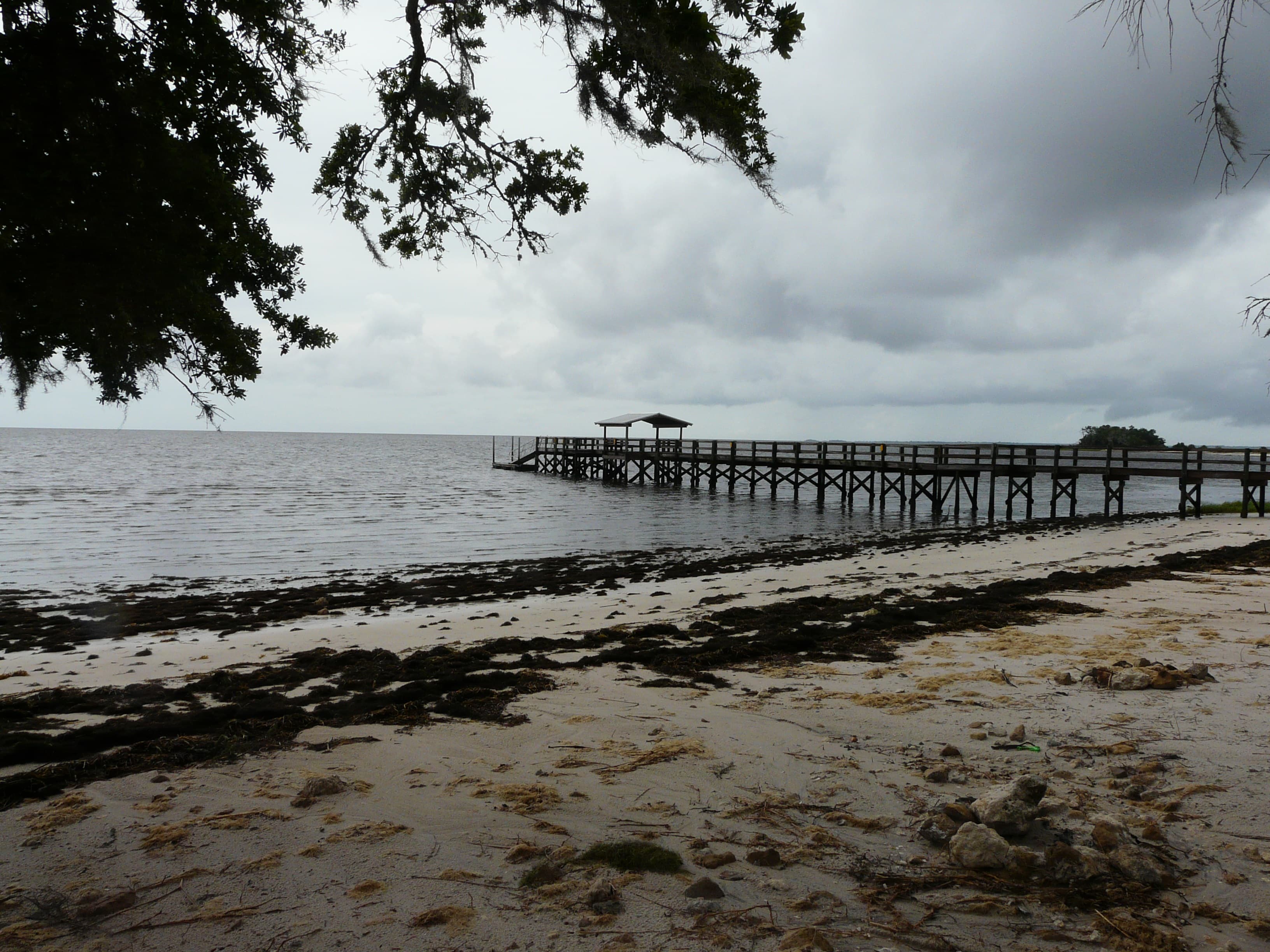 Shired Island, Horseshoe Beach, FL