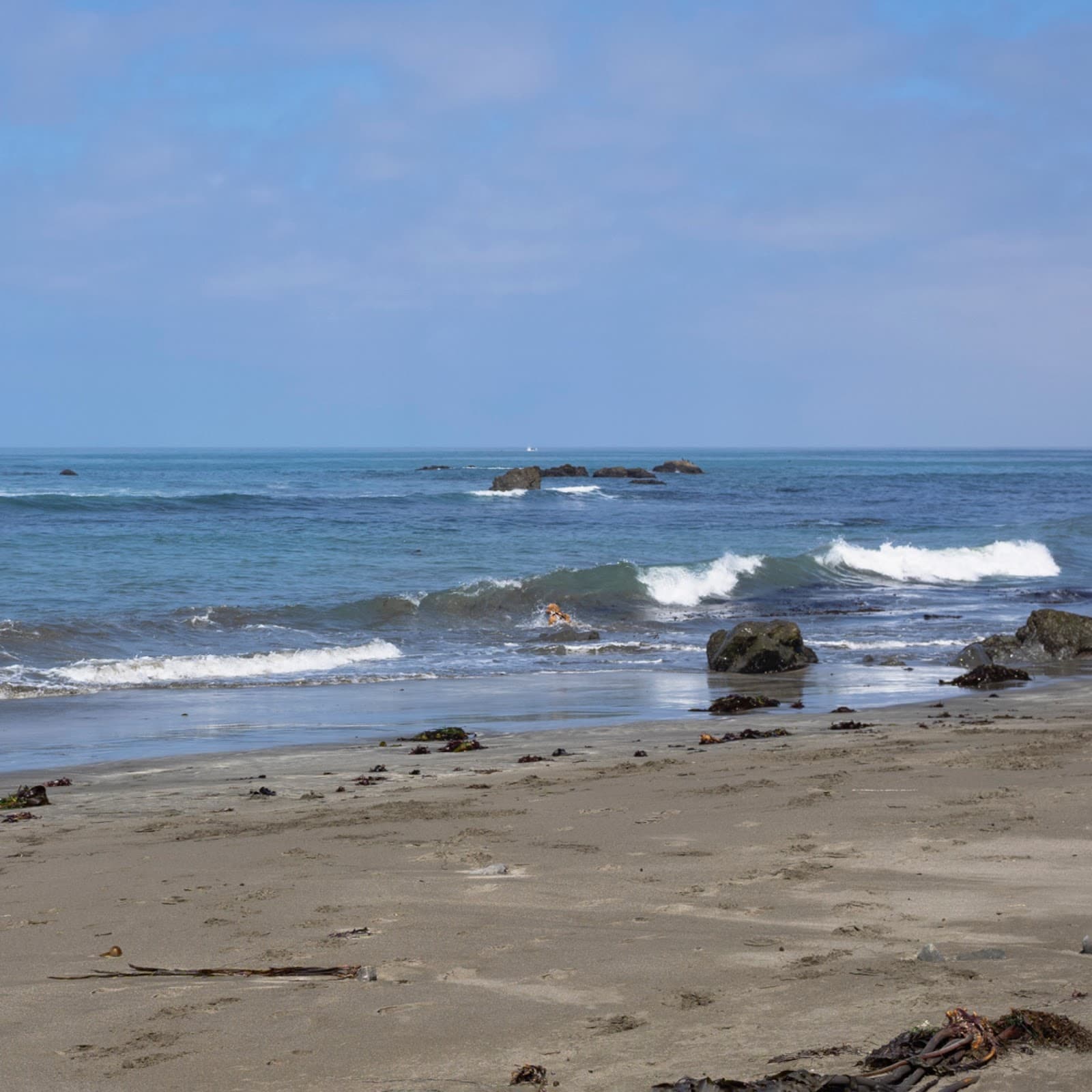 Wages Creek Beach, Westport, CA