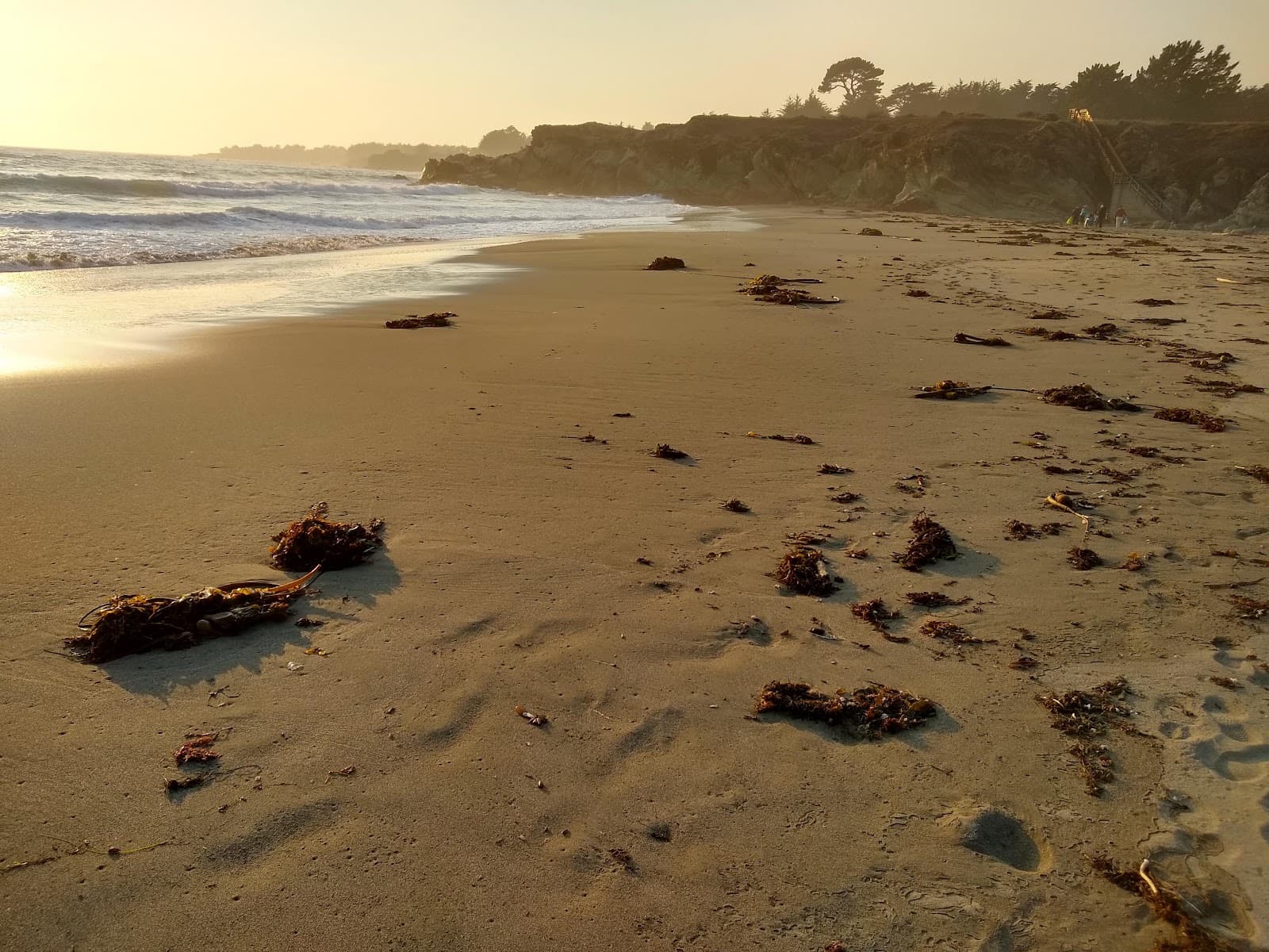 Walk-On Beach, The Sea Ranch, CA