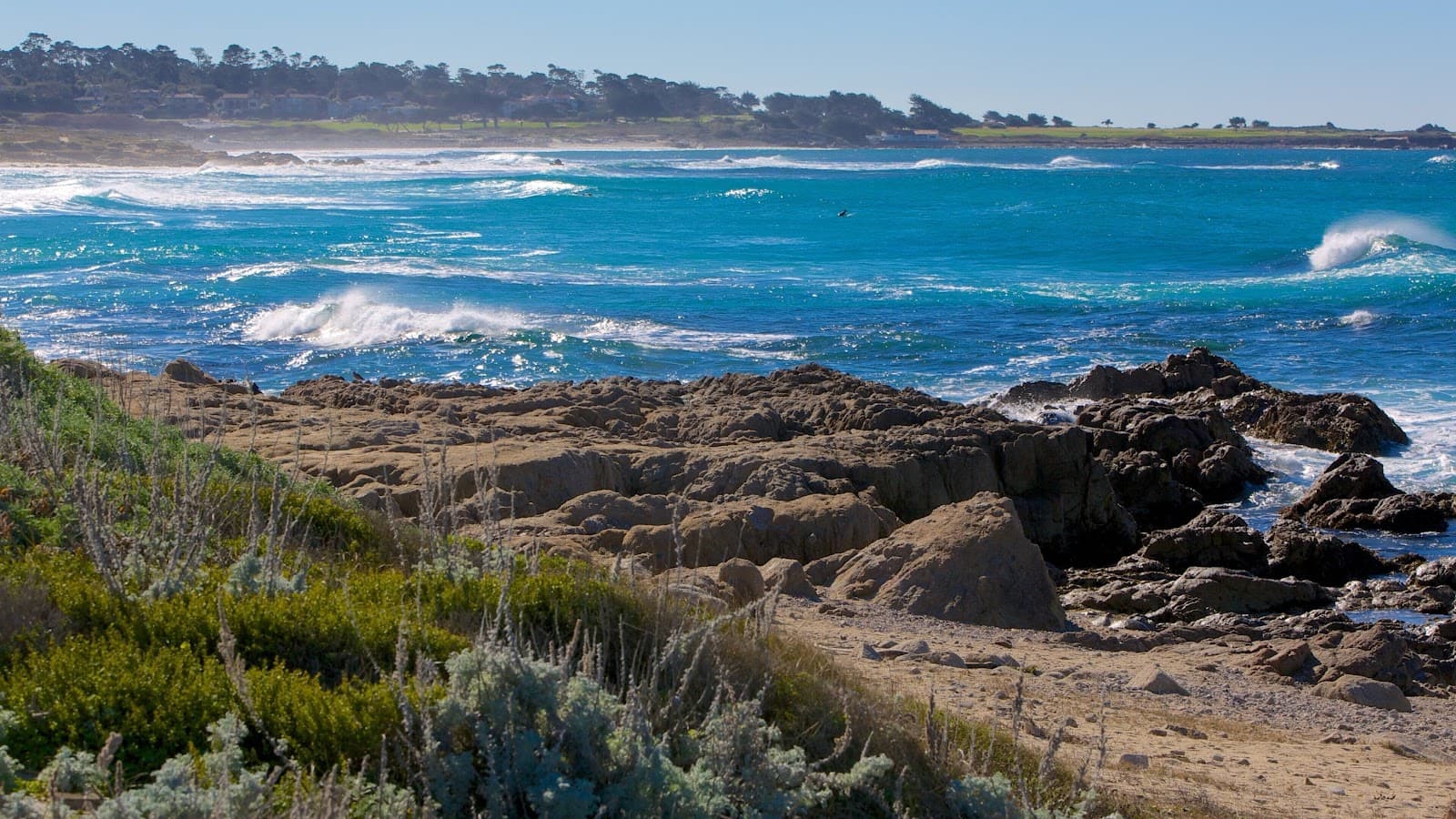 Asilomar State Beach, Pacific Grove, CA
