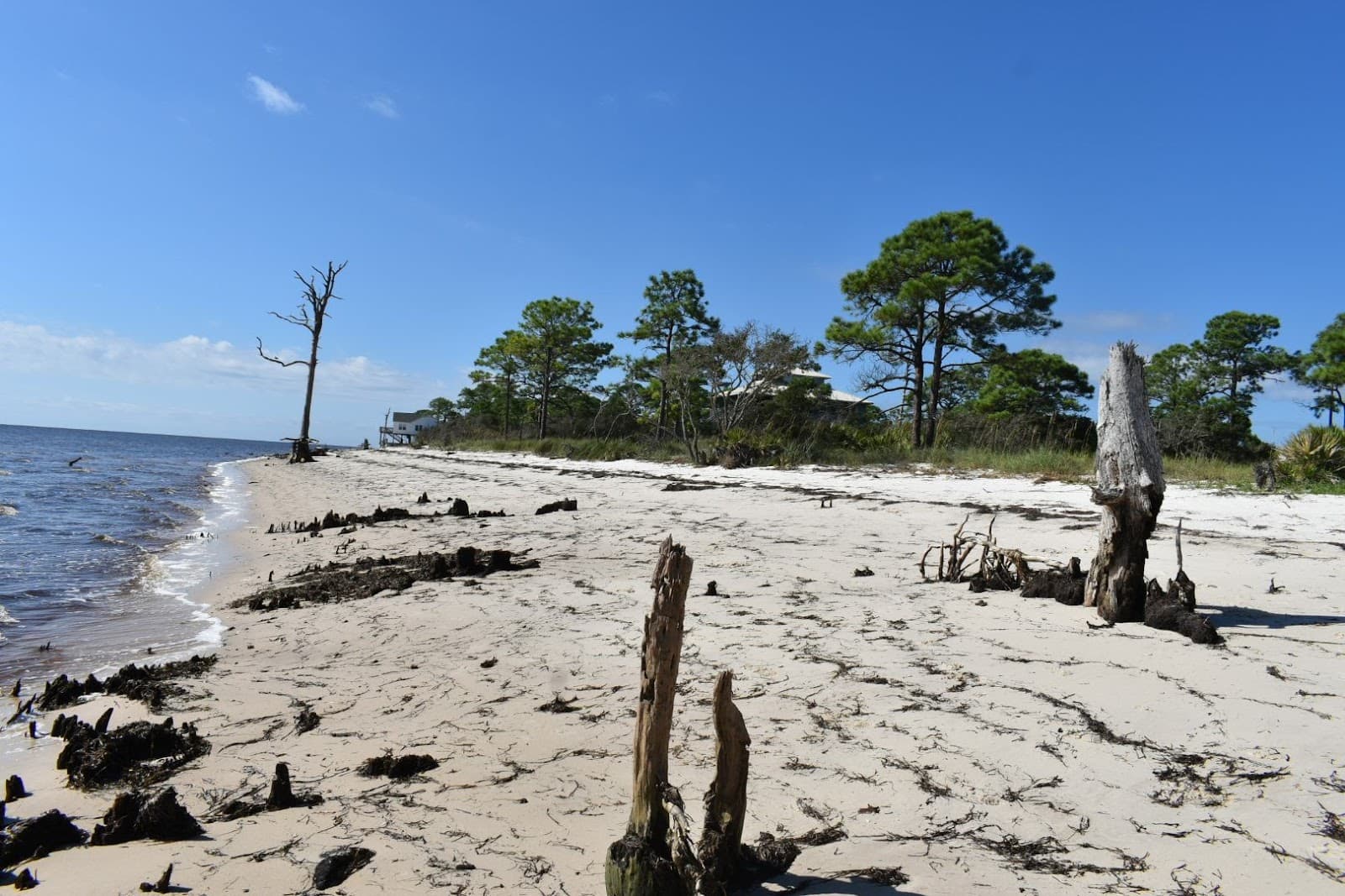 Bald Point State Park, Alligator Point, FL