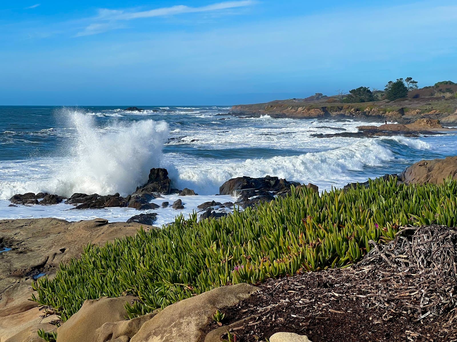 Bean Hollow State Beach, Pescadero, CA