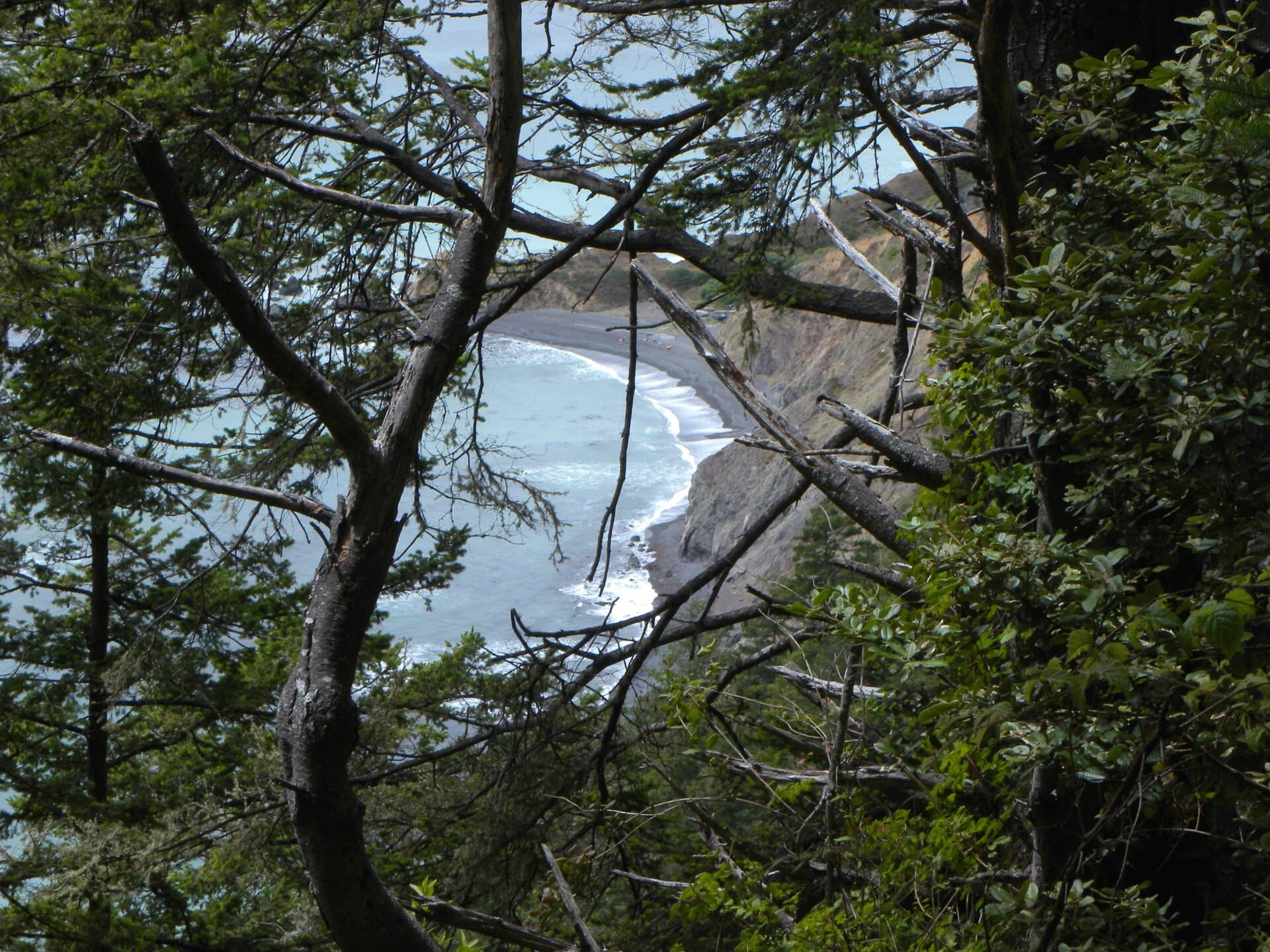 Bear Harbor, Whitethorn, CA