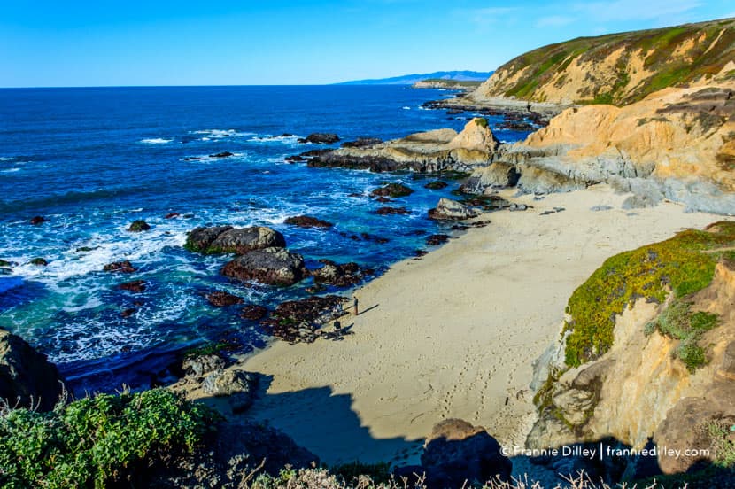 Bodega Head, Bodega Bay, CA