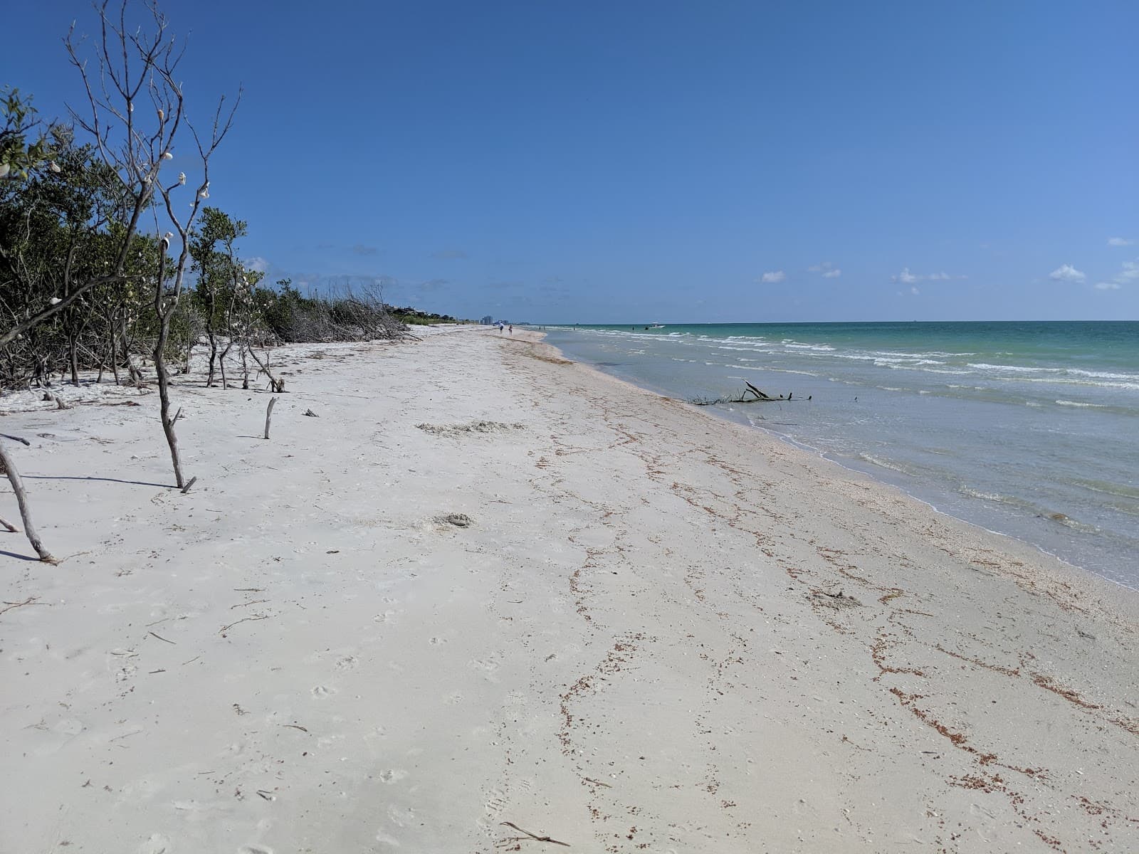Caladesi Island State Park, Dunedin, FL