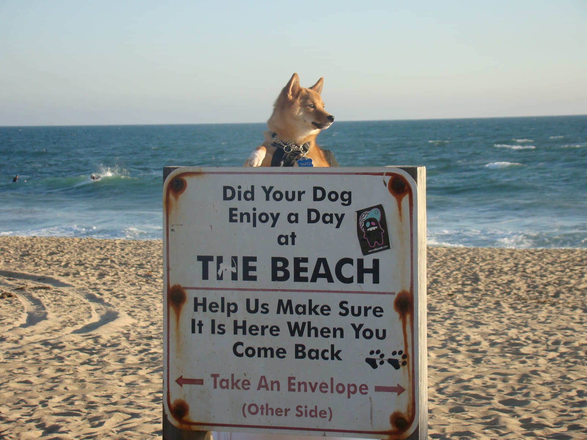Dog Beach, Huntington Beach, CA