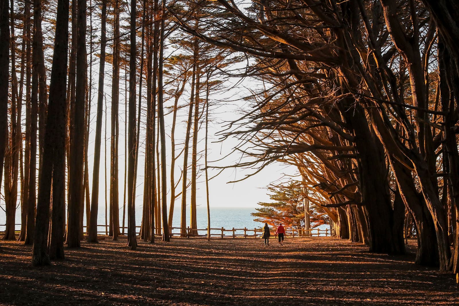 James V. Fitzgerald Marine Reserve, Moss Beach, CA