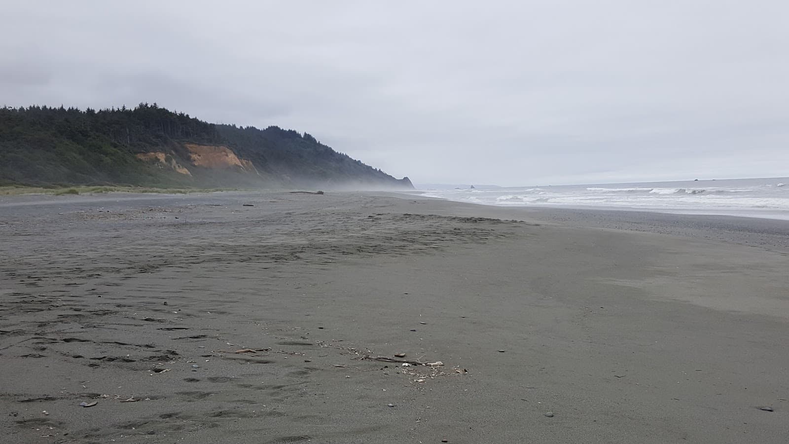 Gold Bluffs Beach, Orick, CA