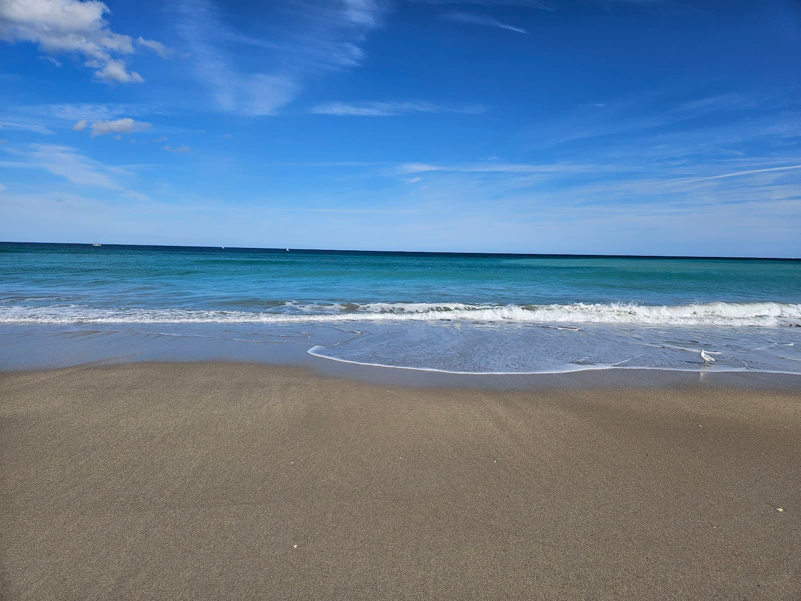 Hobe Sound National Wildlife Refuge, Hobe Sound, FL