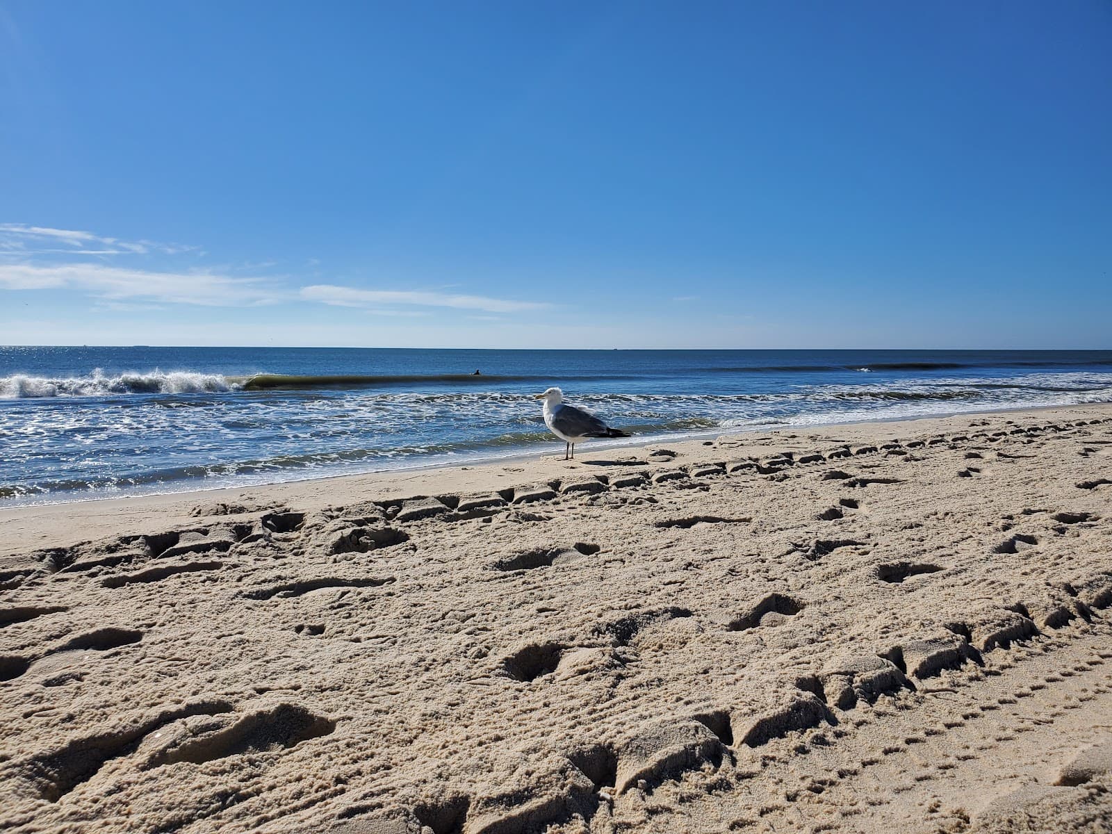 Holgate, Long Beach Township, NJ