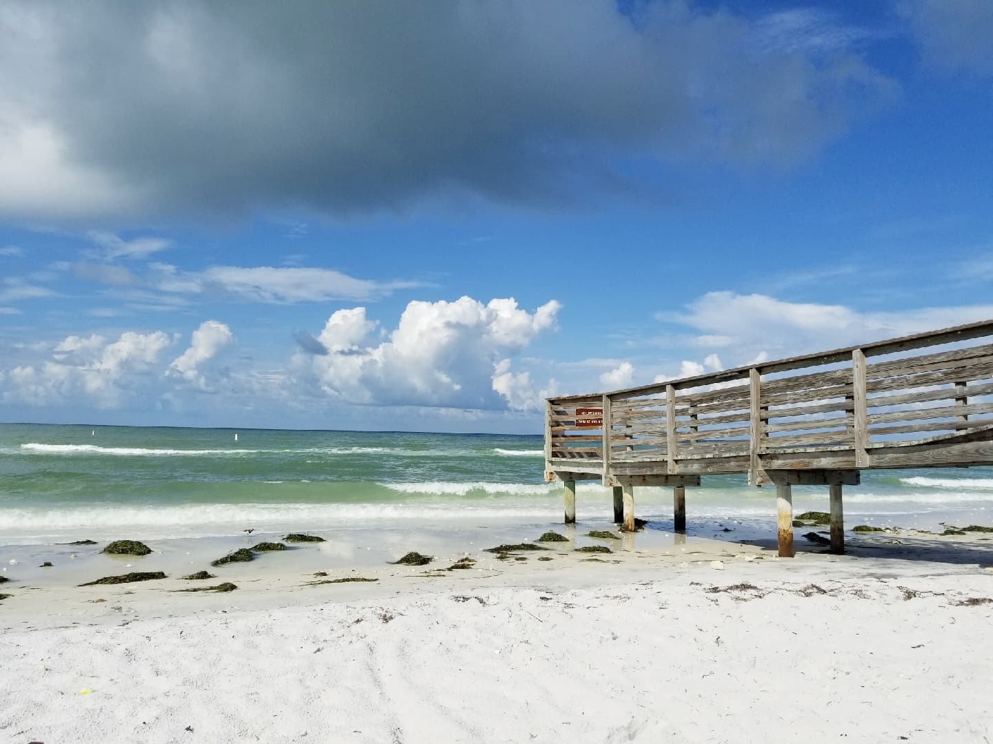 Honeymoon Island State Park, Dunedin, FL