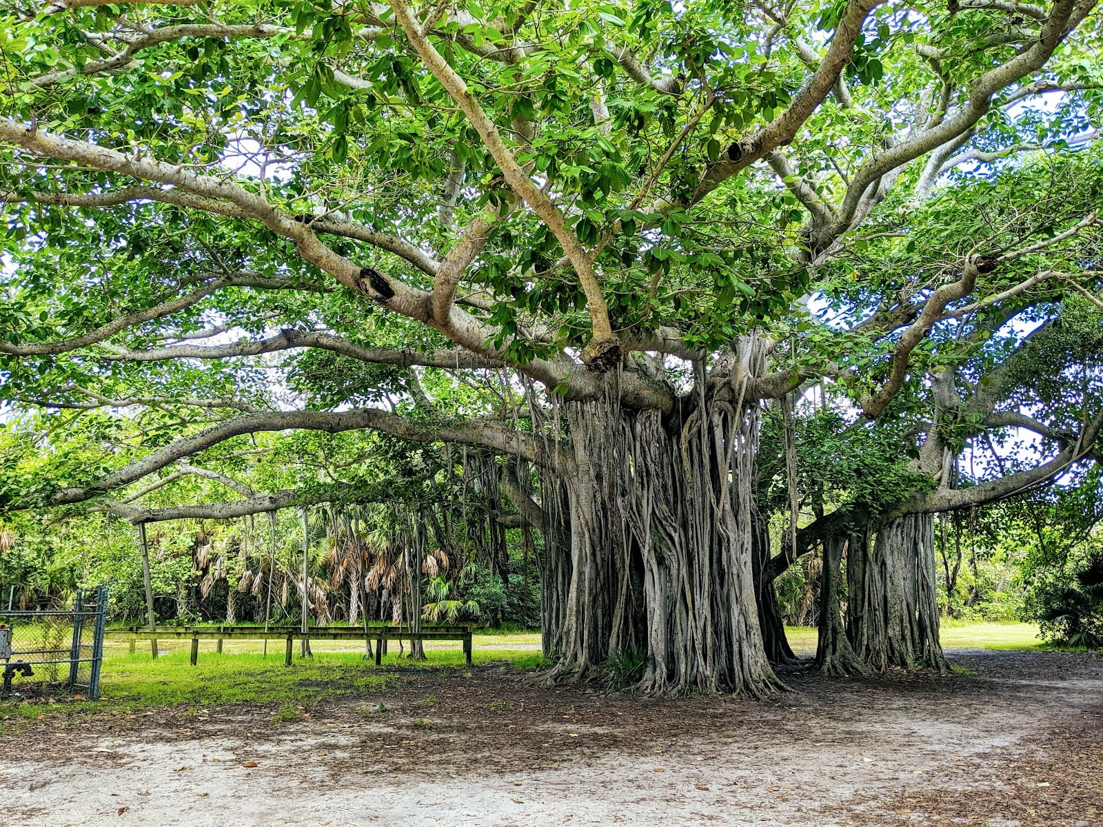 Hugh Taylor Birch State Park, Fort Lauderdale, FL