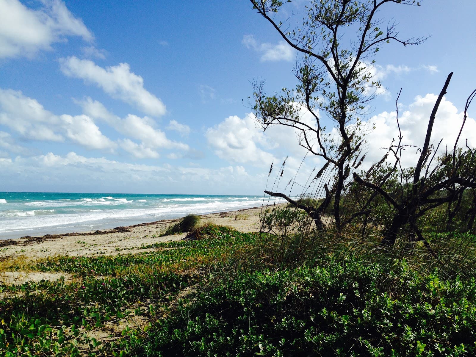 Hutchinson Island, Fort Pierce, FL