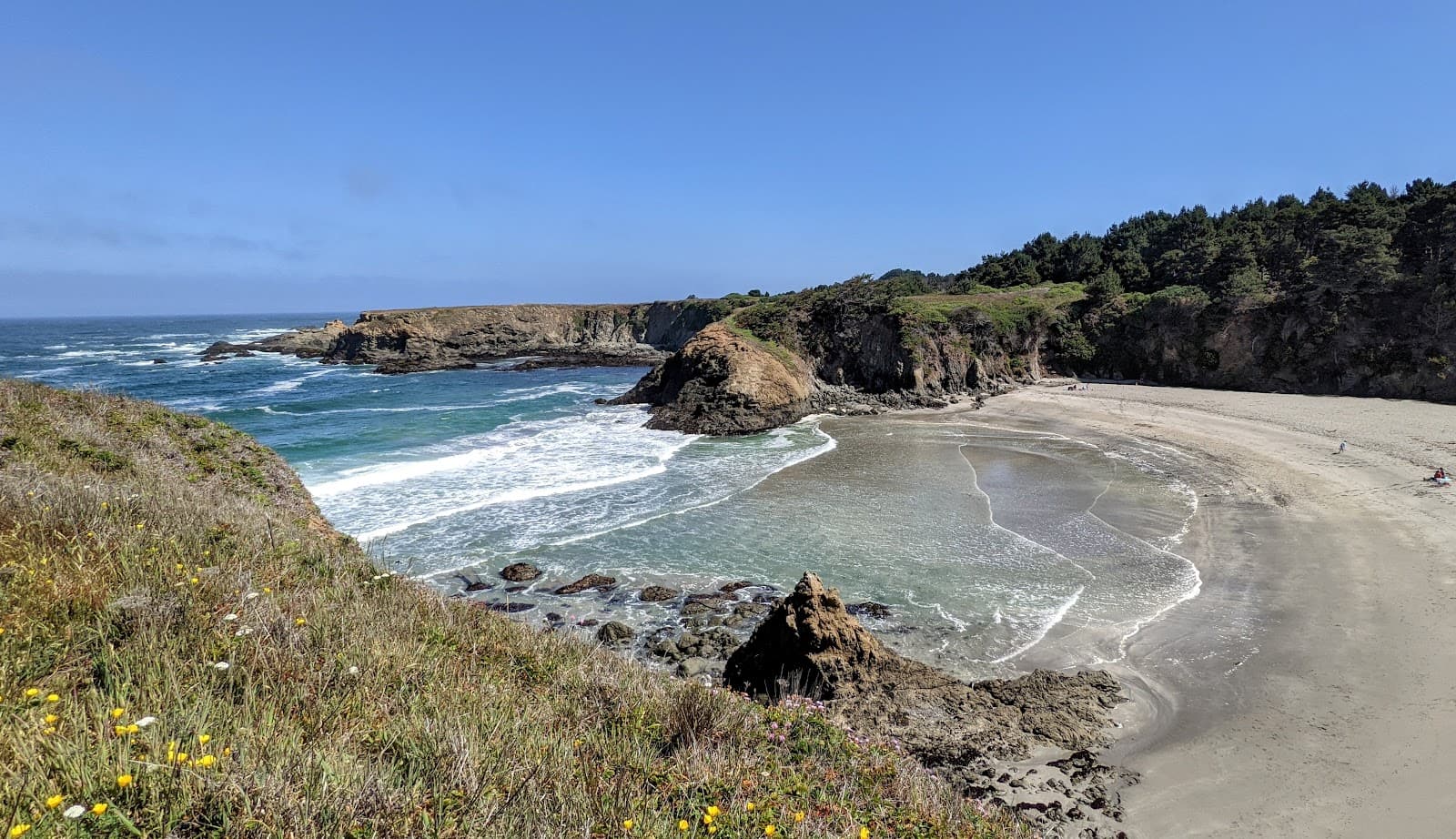 Jug Handle State Natural Reserve, Caspar, CA