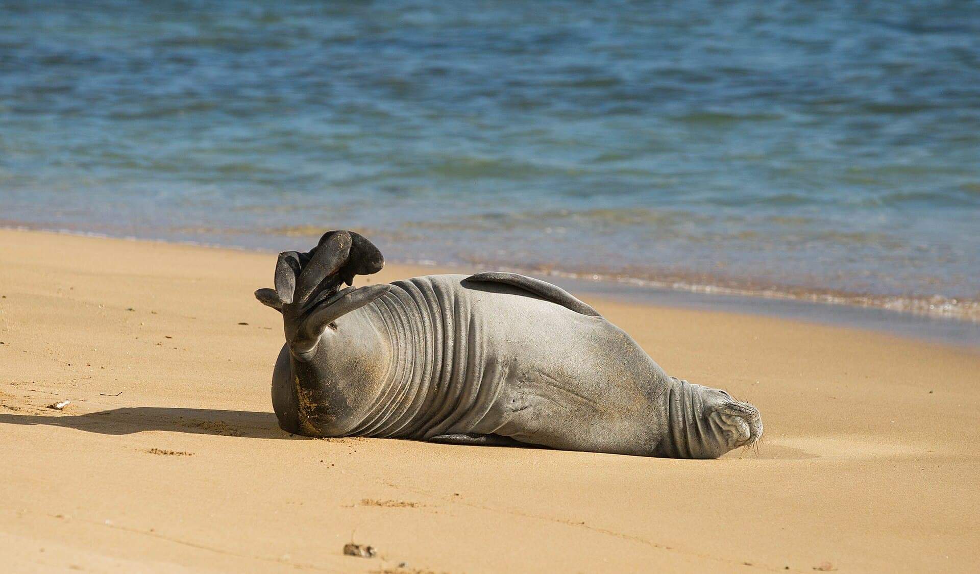 Kaimana Beach, Honolulu, HI