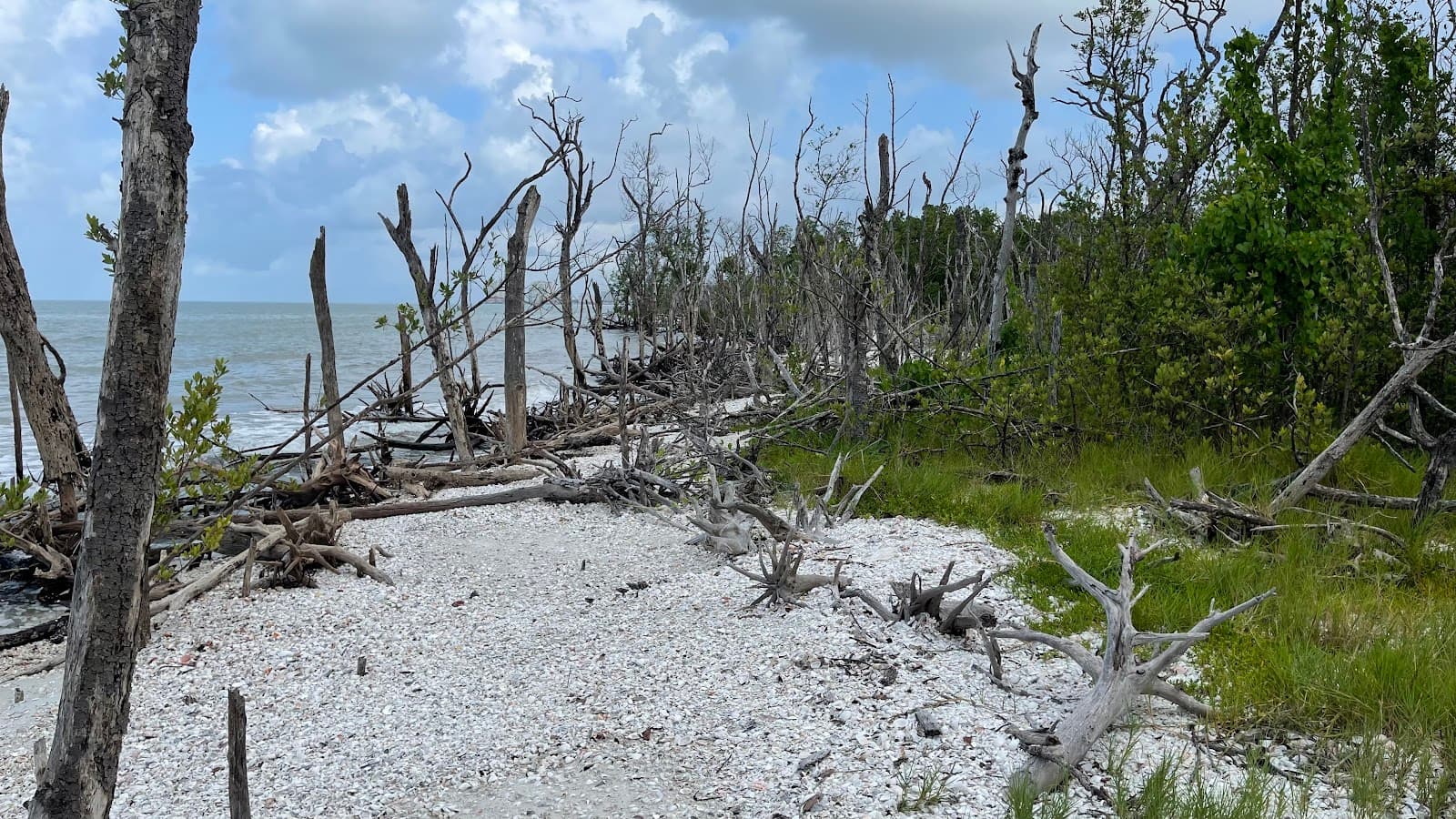 Kice Island, Marco Island, FL