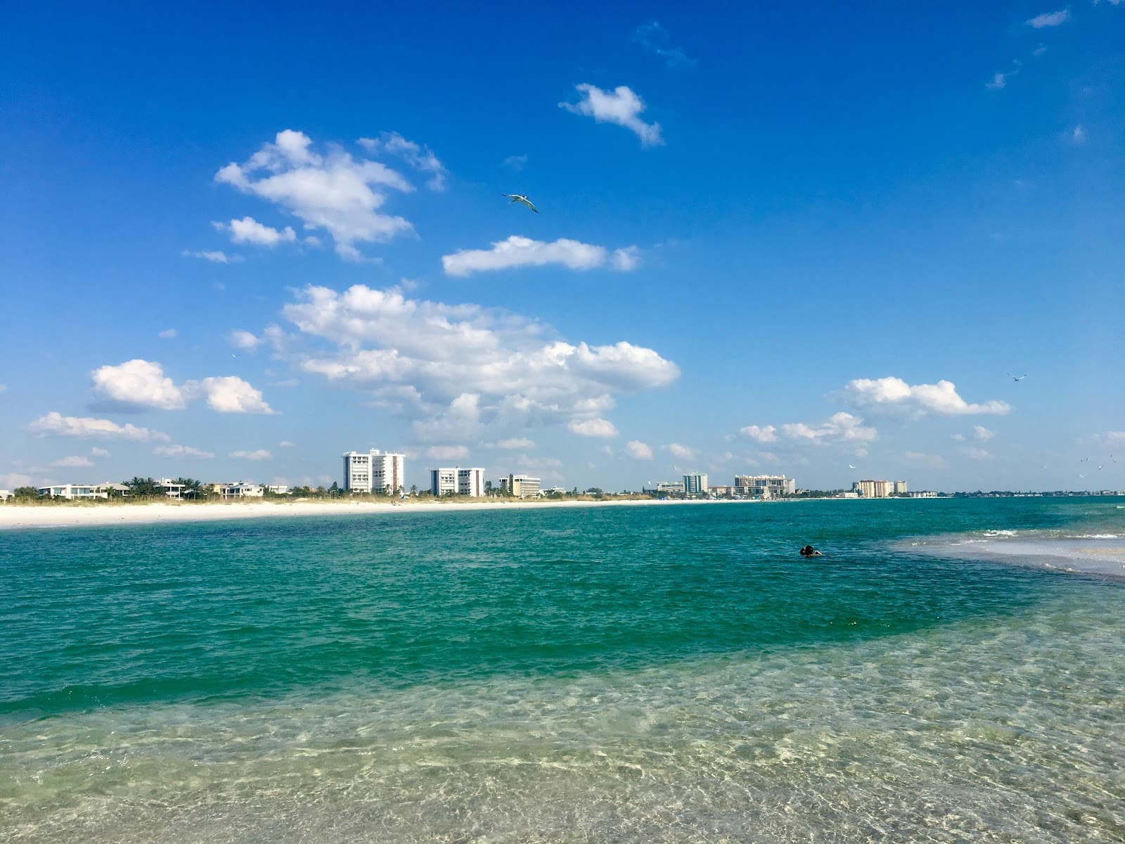 Lido Key, Sarasota, FL
