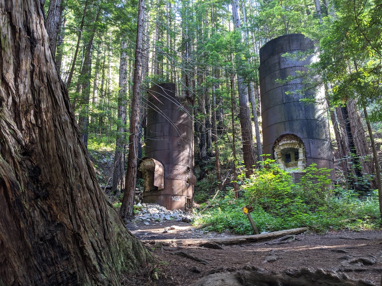 Limekiln State Park, Big Sur, CA