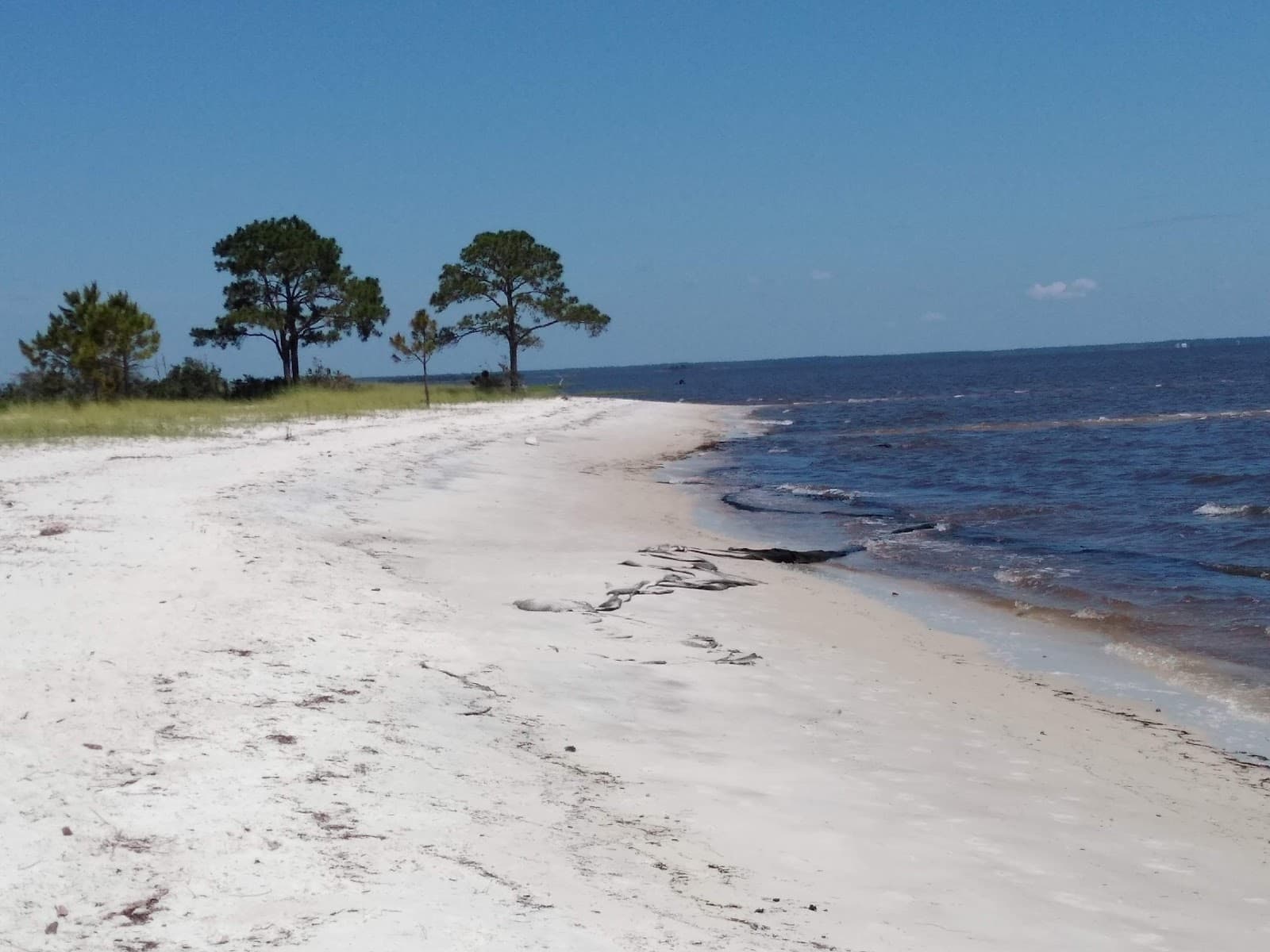 Mashes Sands Beach, Panacea, FL