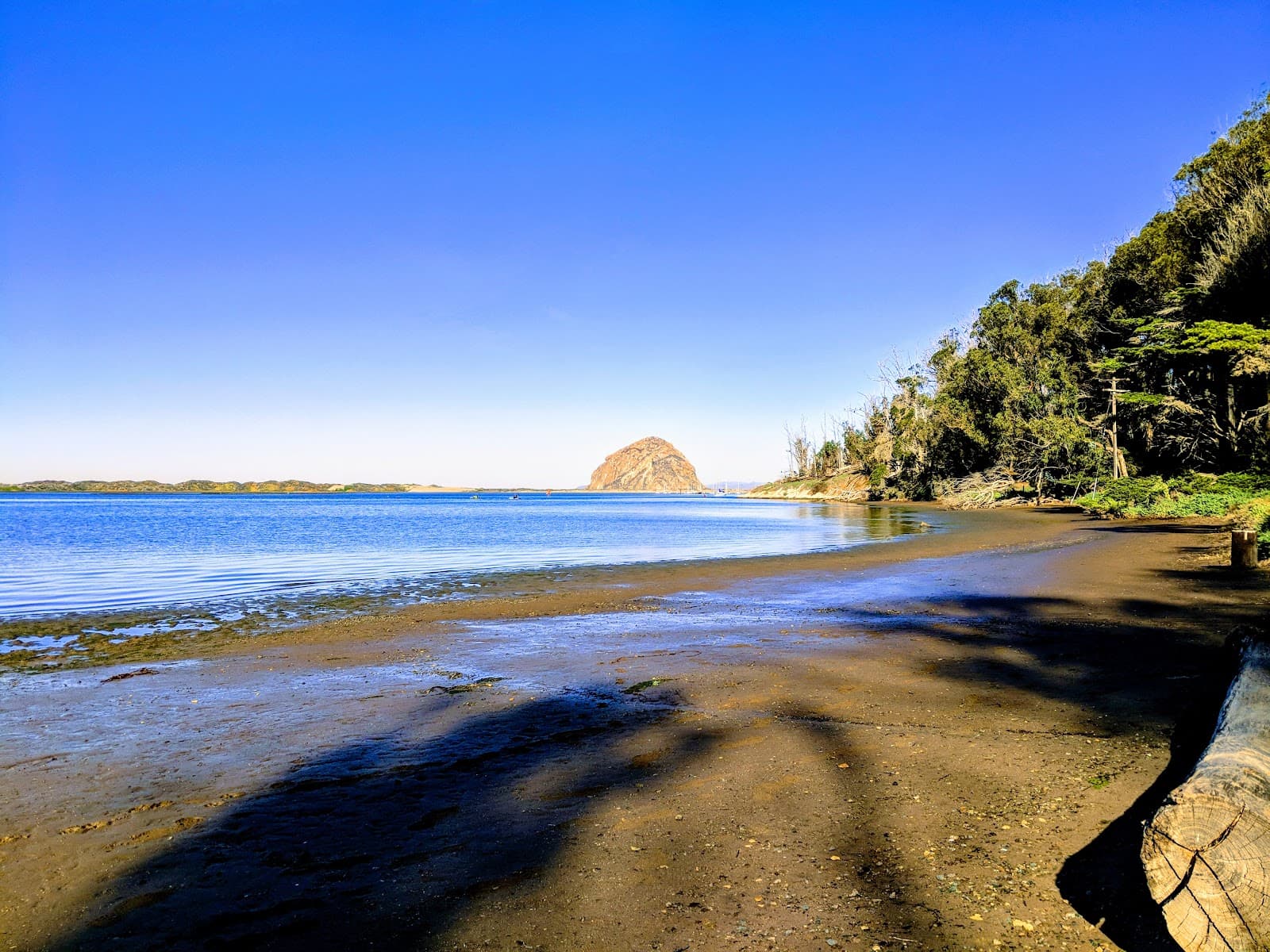 Morro Bay State Park, Morro Bay, CA