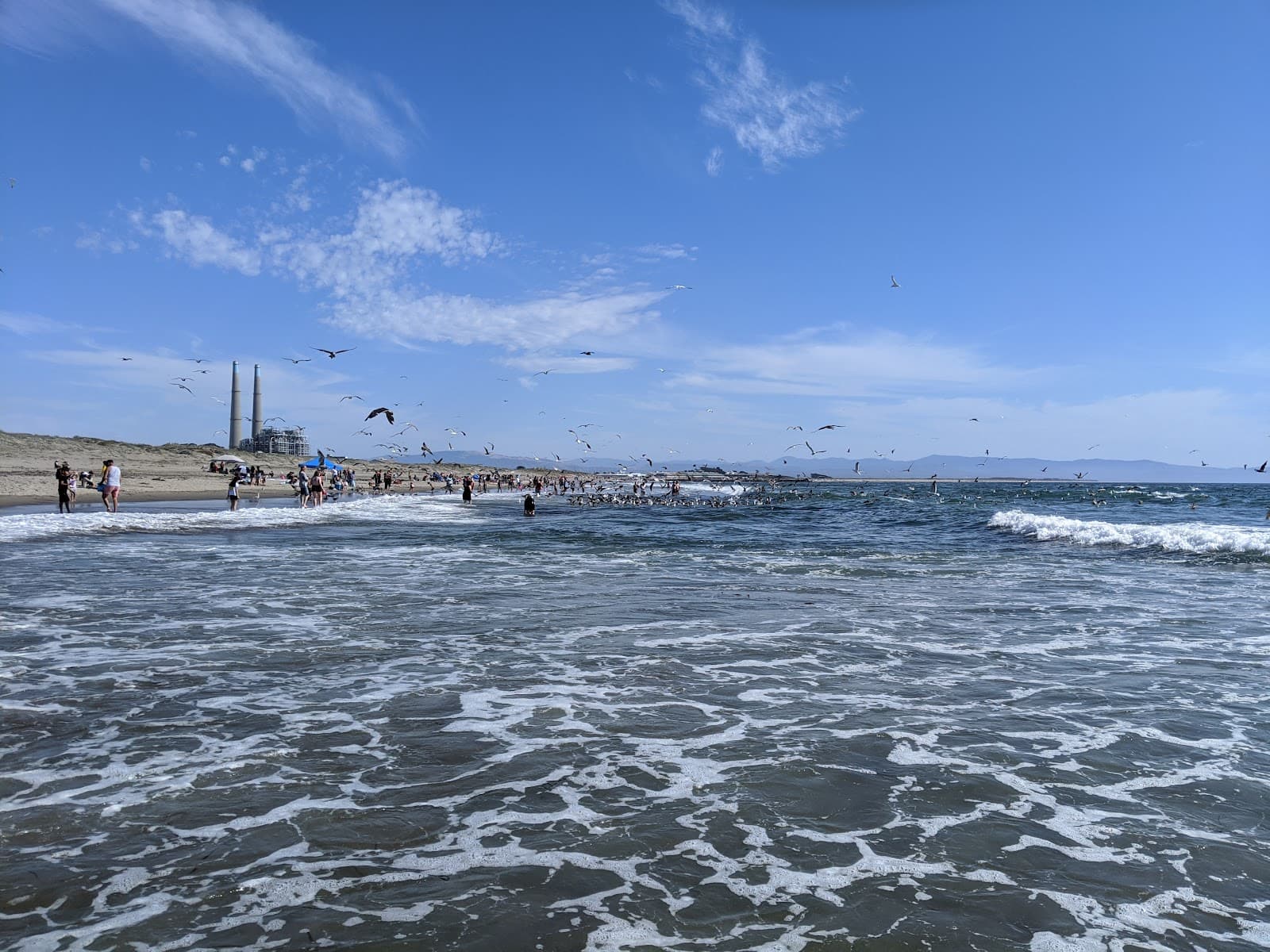 Moss Landing State Beach, Moss Landing, CA