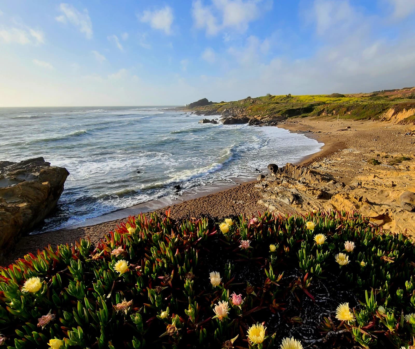 Pebble Beach, Pescadero, CA