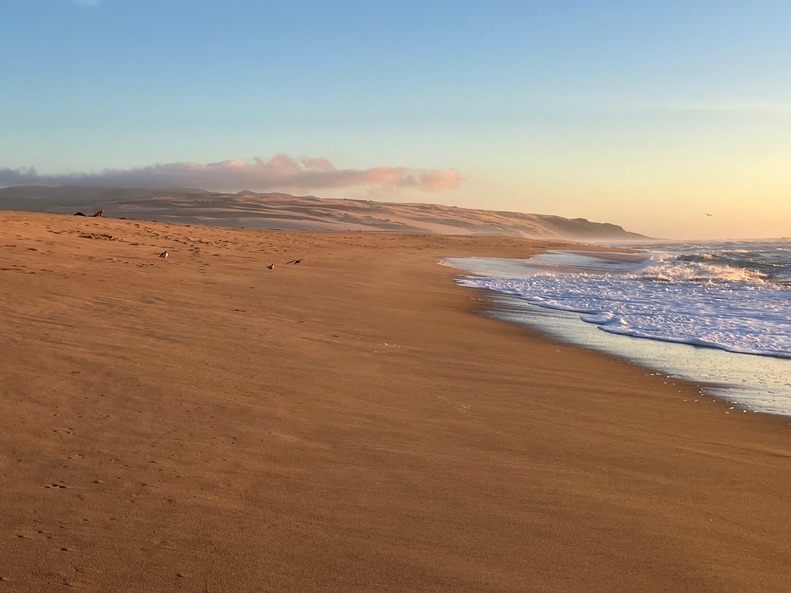 Rancho Guadalupe Dunes County Park, Guadalupe, CA