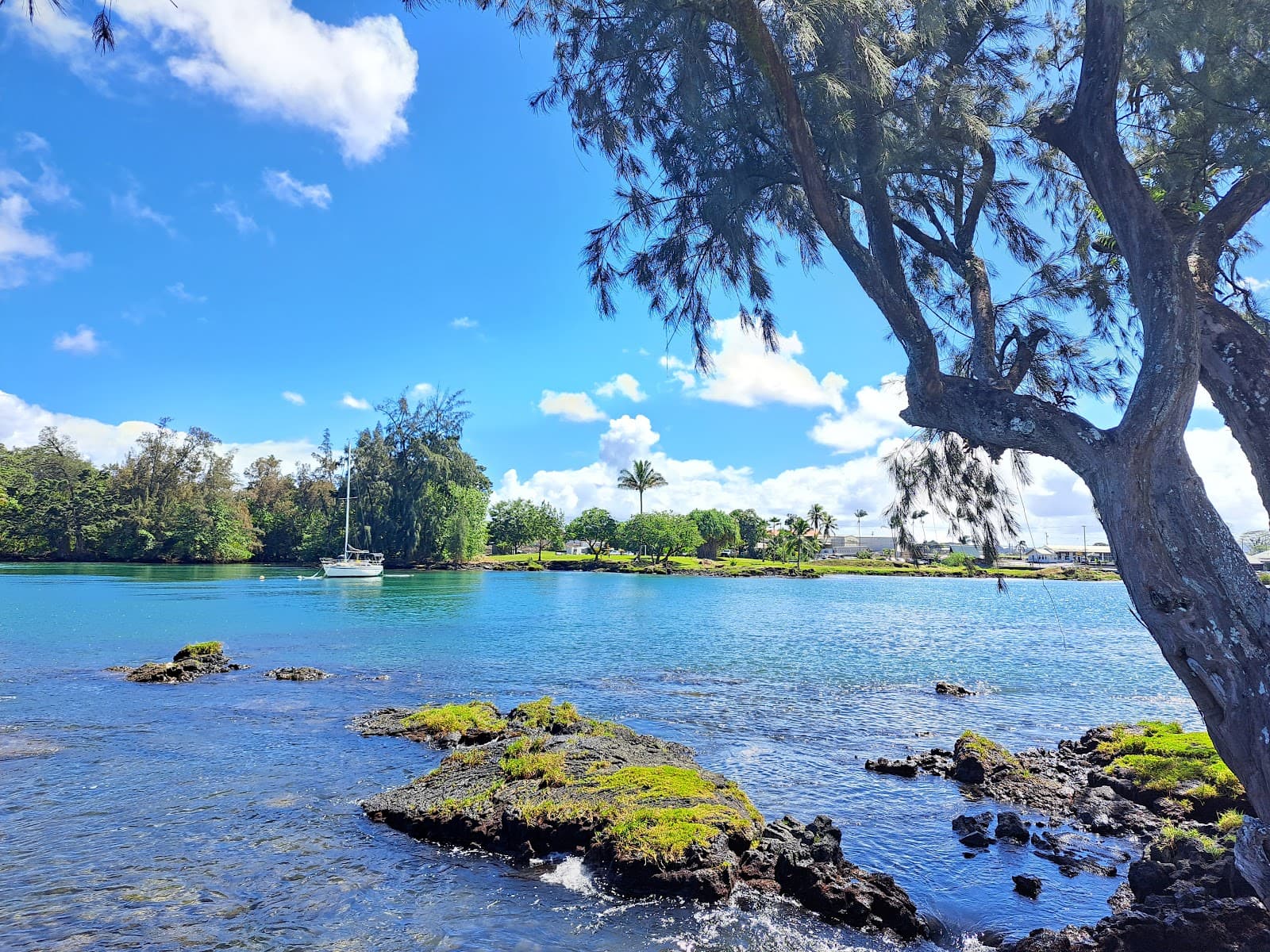 Reeds Bay Park, Hilo, HI