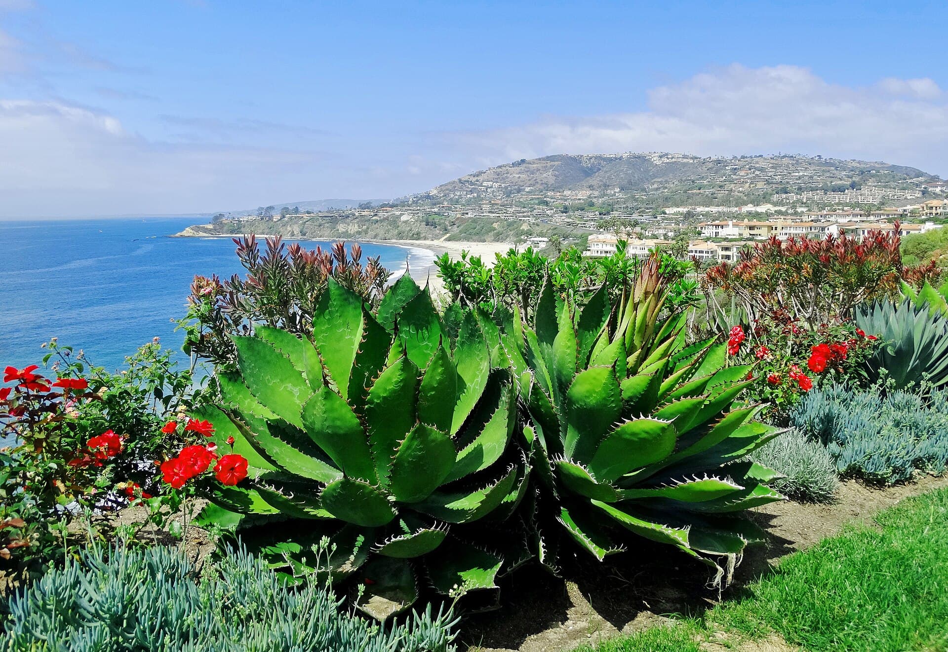 Salt Creek Beach Park, Dana Point, CA