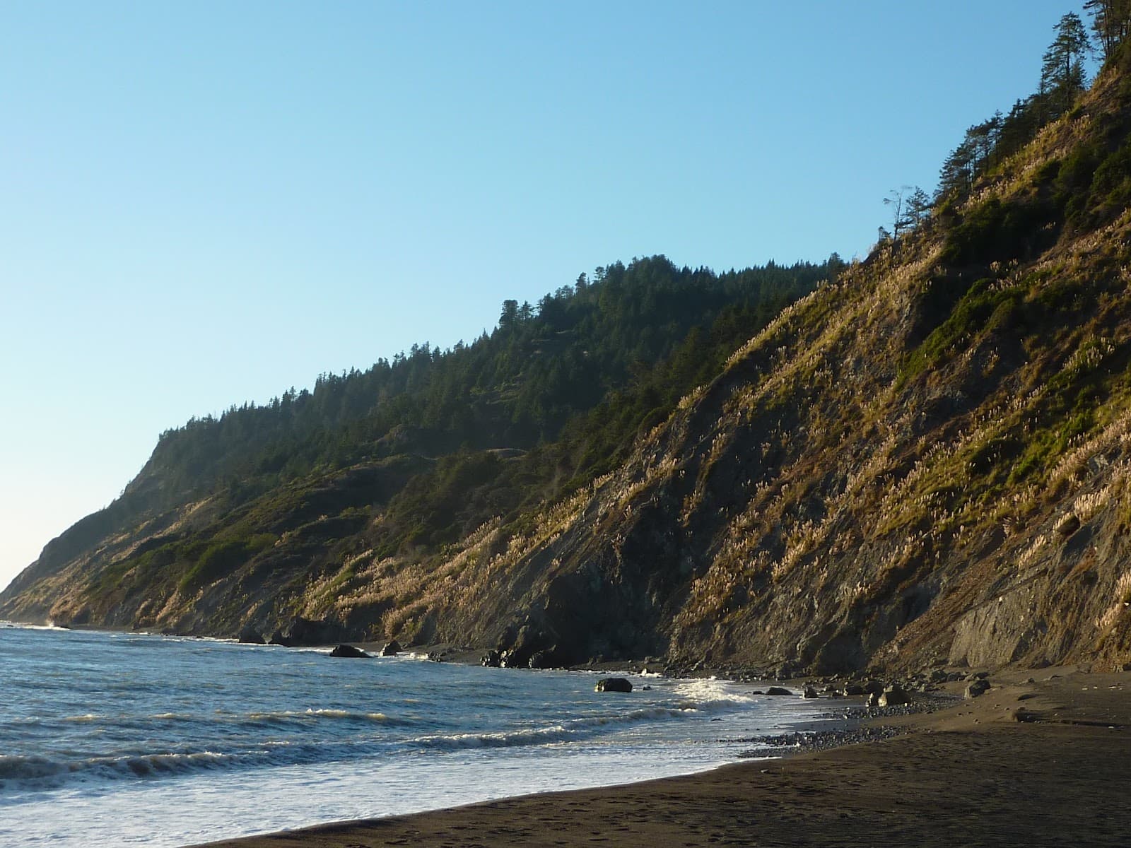 Sinkyone Wilderness State Park, Whitethorn, CA