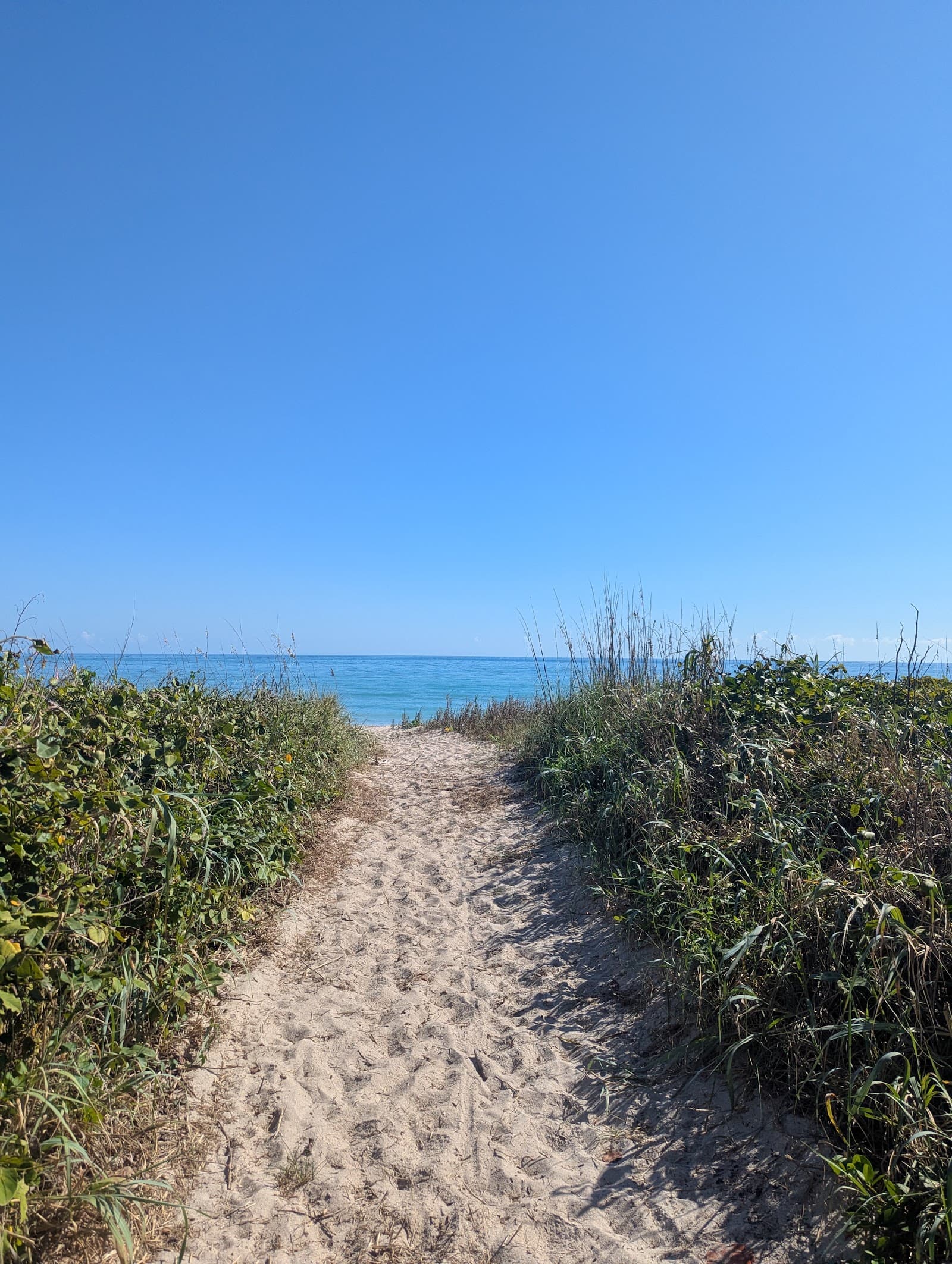 St. Lucie Inlet Preserve State Park, Stuart, FL