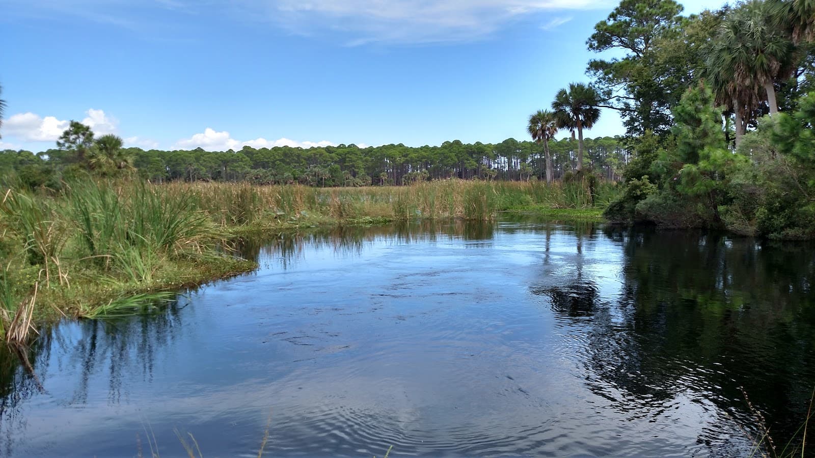 St. Vincent National Wildlife Refuge, Apalachicola, FL